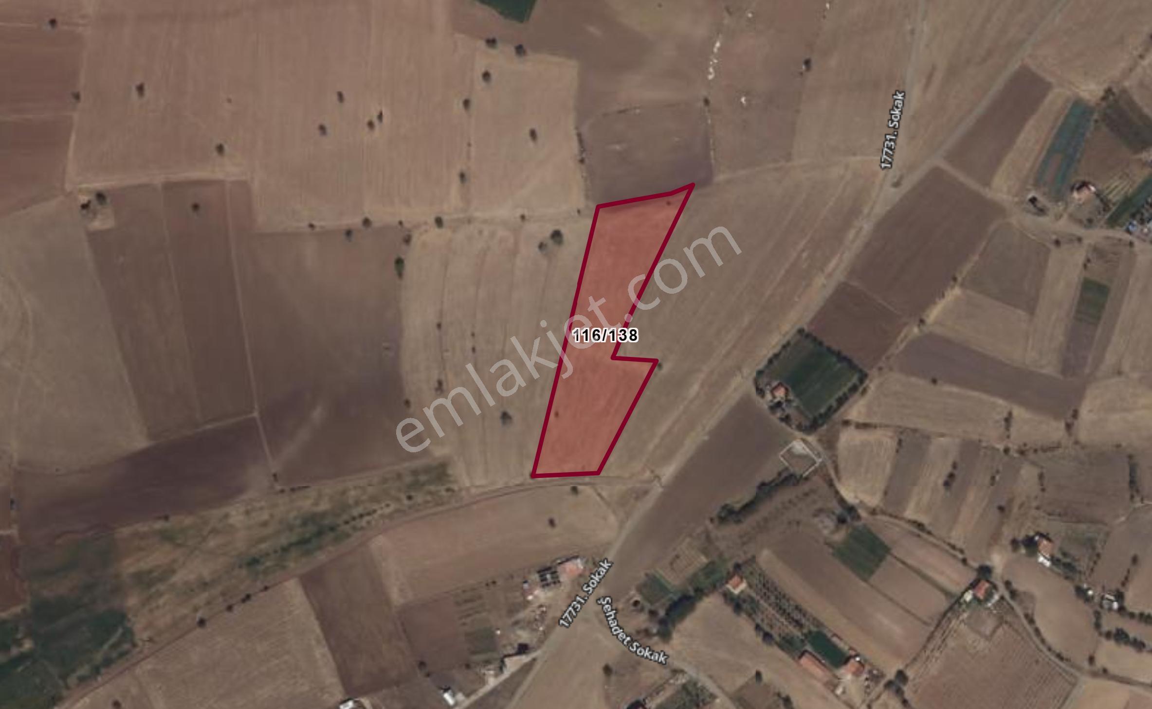 Tekin Oğlun'dan Meram Karadiğin 8.400 M² Müstakil Tapulu Tarla - Görsel 2