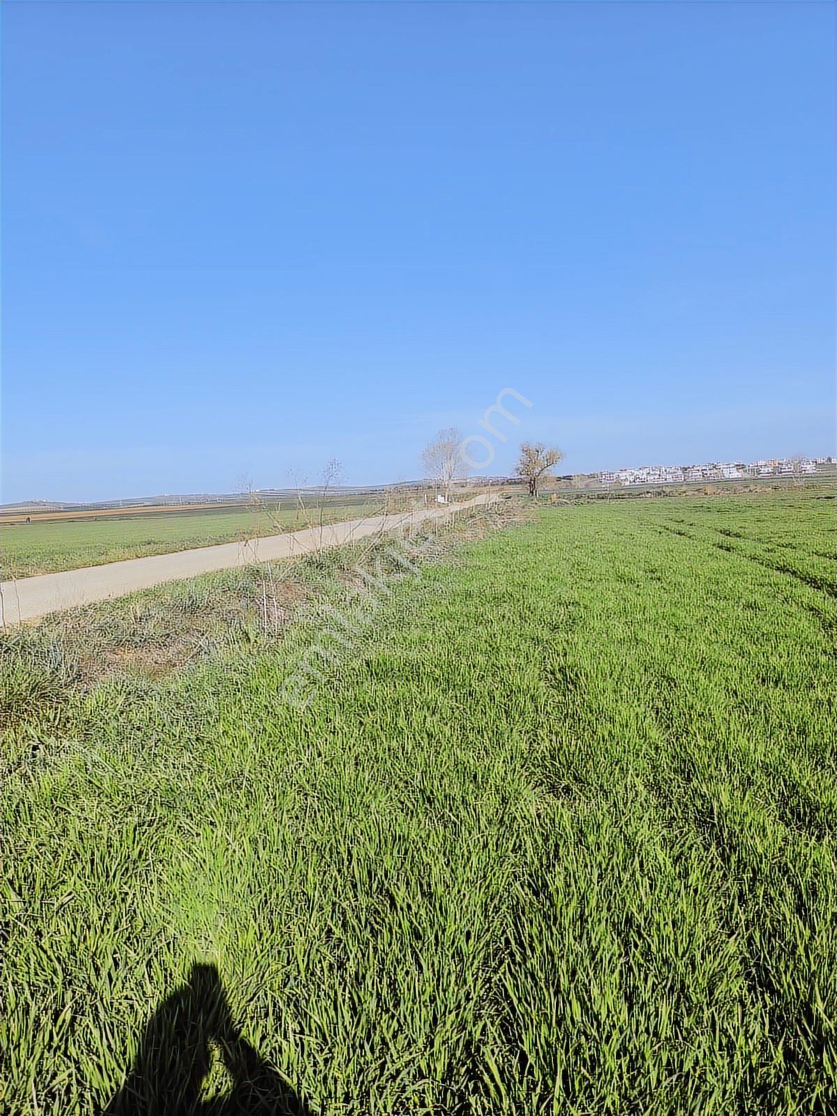 Tekirdağ Marmaraereğlisi Çeşmelide 301,4 Ada Parsel Hisseli Yer