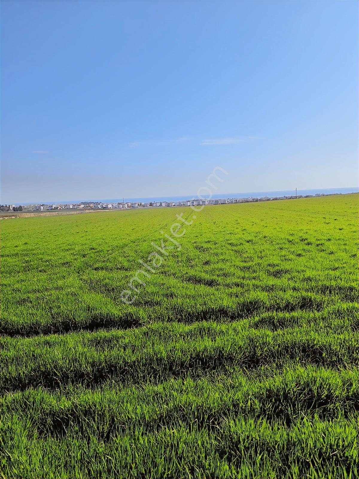 Tekirdağ Marmaraereğlisi Çeşmelide 301,4 Ada Parsel Hisseli Yer - Görsel 2