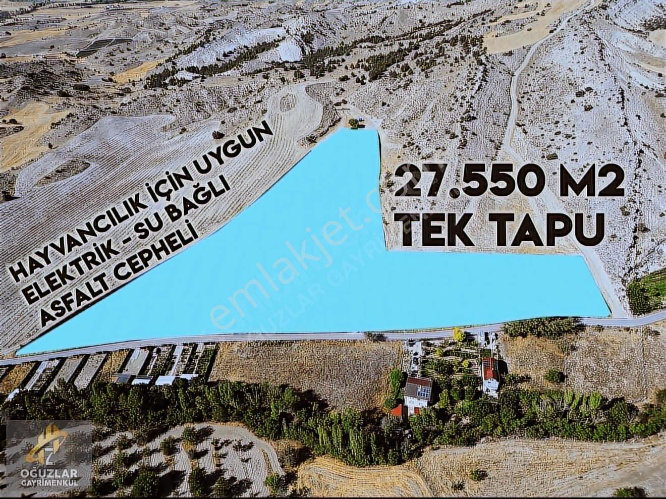 Elektrik-suyu Hazır,hayvancılık Bölgesi Asfalta Cepheli Tek Tapu - Görsel 10