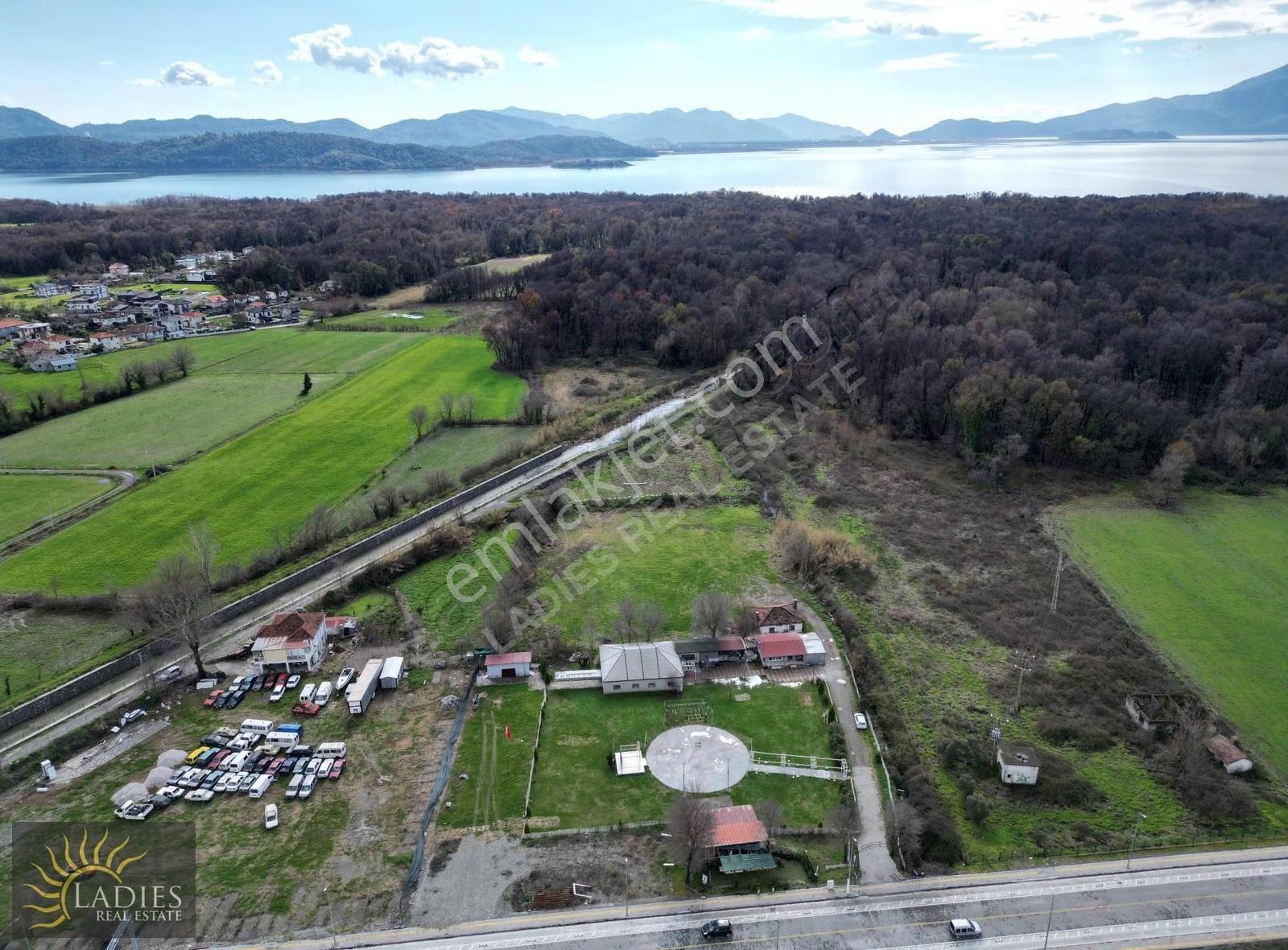Muğla Köyceğiz Yangı'da Fırsat Satılık Tarla - Görsel 11