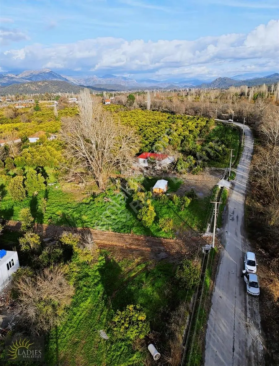 Muğla Köyceğiz Yangı'da Fırsat Satılık Tarla