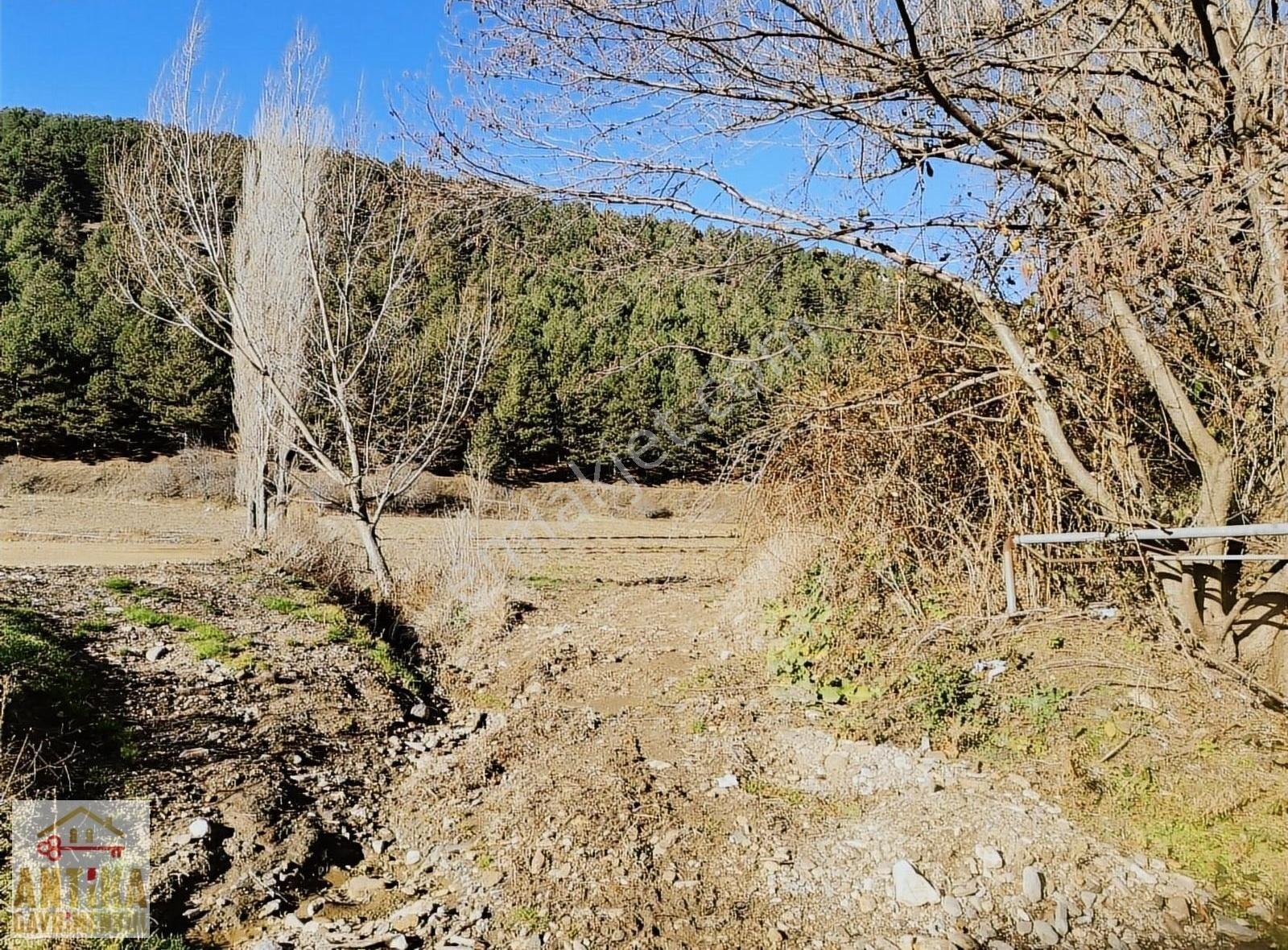 Antika Gayrimenkul'den Bozdağ'da Elektrik Suyu Olan Tarla - Görsel 14