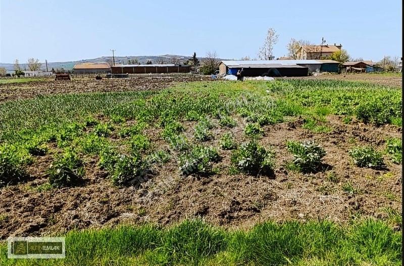 Tekirdağ Süleymanpaşa'da 500m² İmarlı Arsa - Doğa Manzaralı - Görsel 3