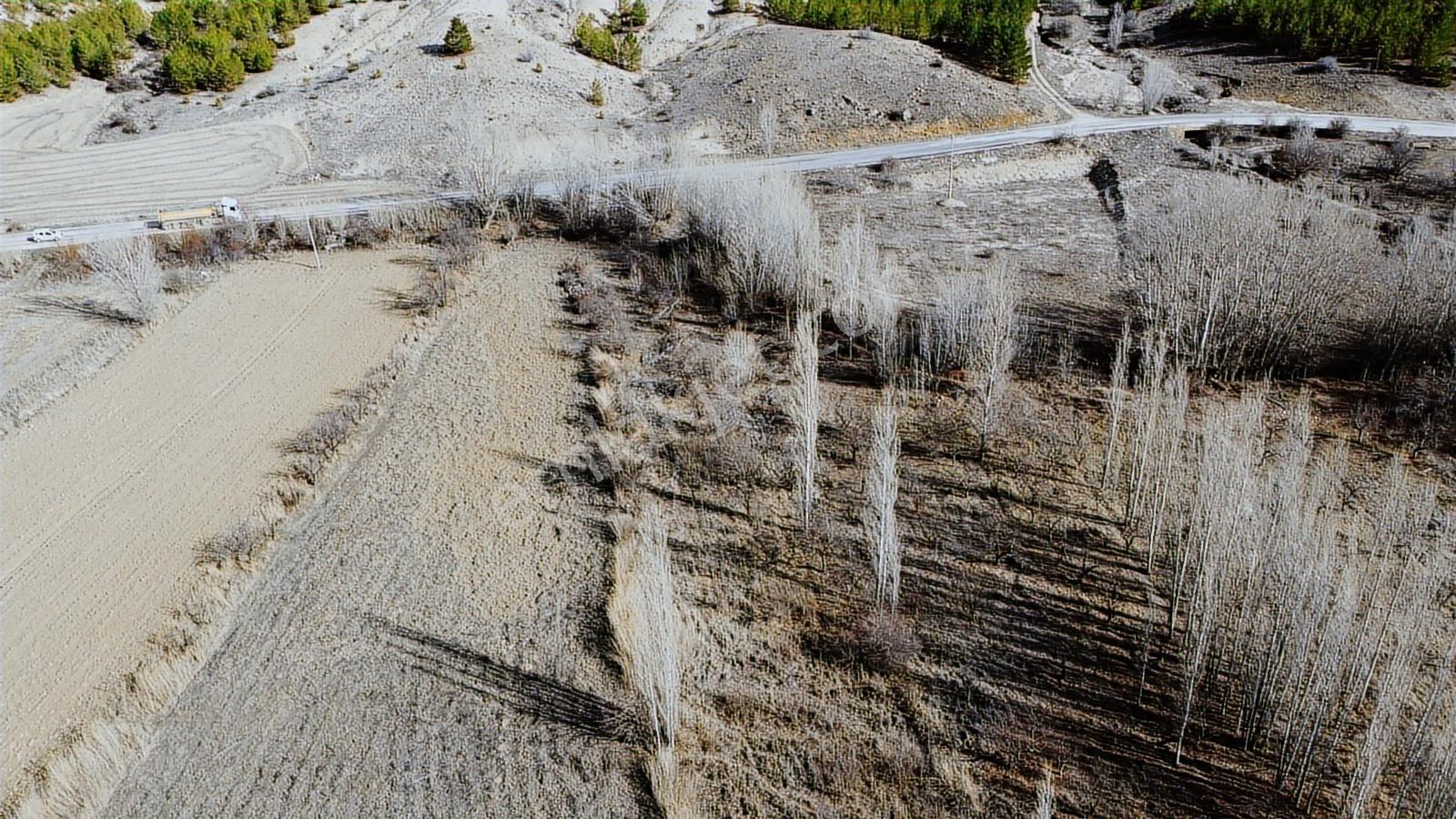 Daha Ucuzu Yok Keçi Muhsinede 5031 M² Dereye Asfalta Cephe - Görsel 13