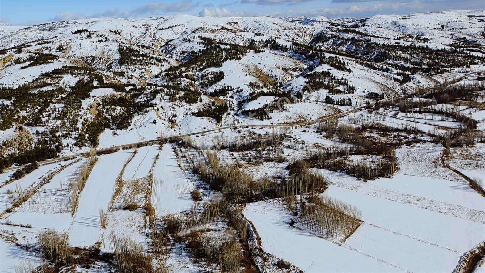 Daha Ucuzu Yok Keçi Muhsinede 5031 M² Dereye Asfalta Cephe - Görsel 15