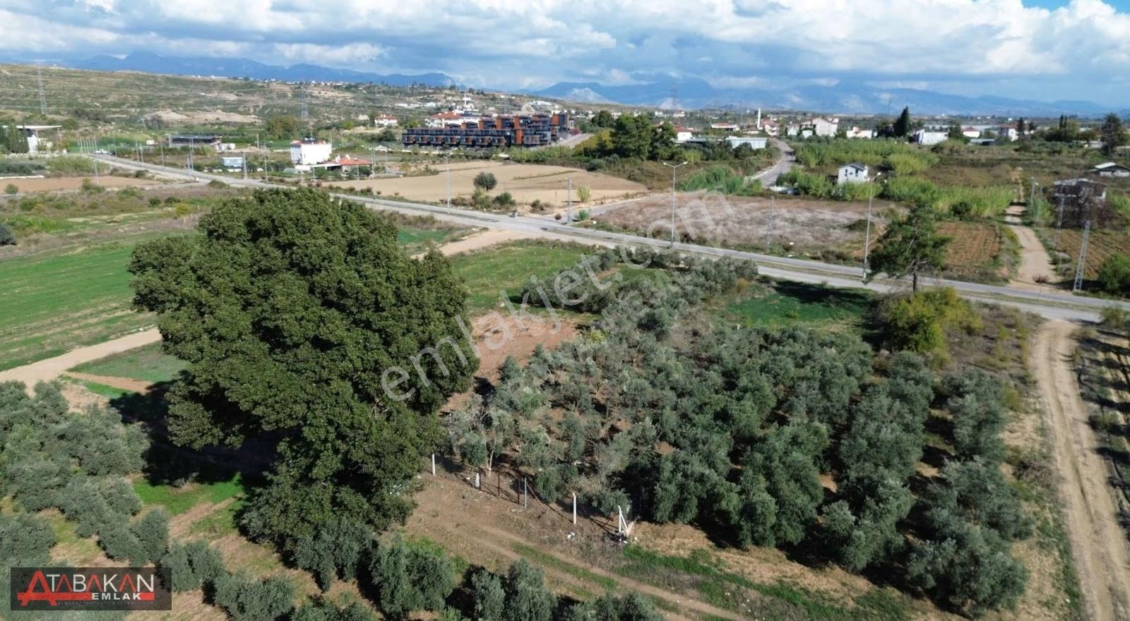 3 Kat İmarlı Yola Yakın Arsa - Görsel 7