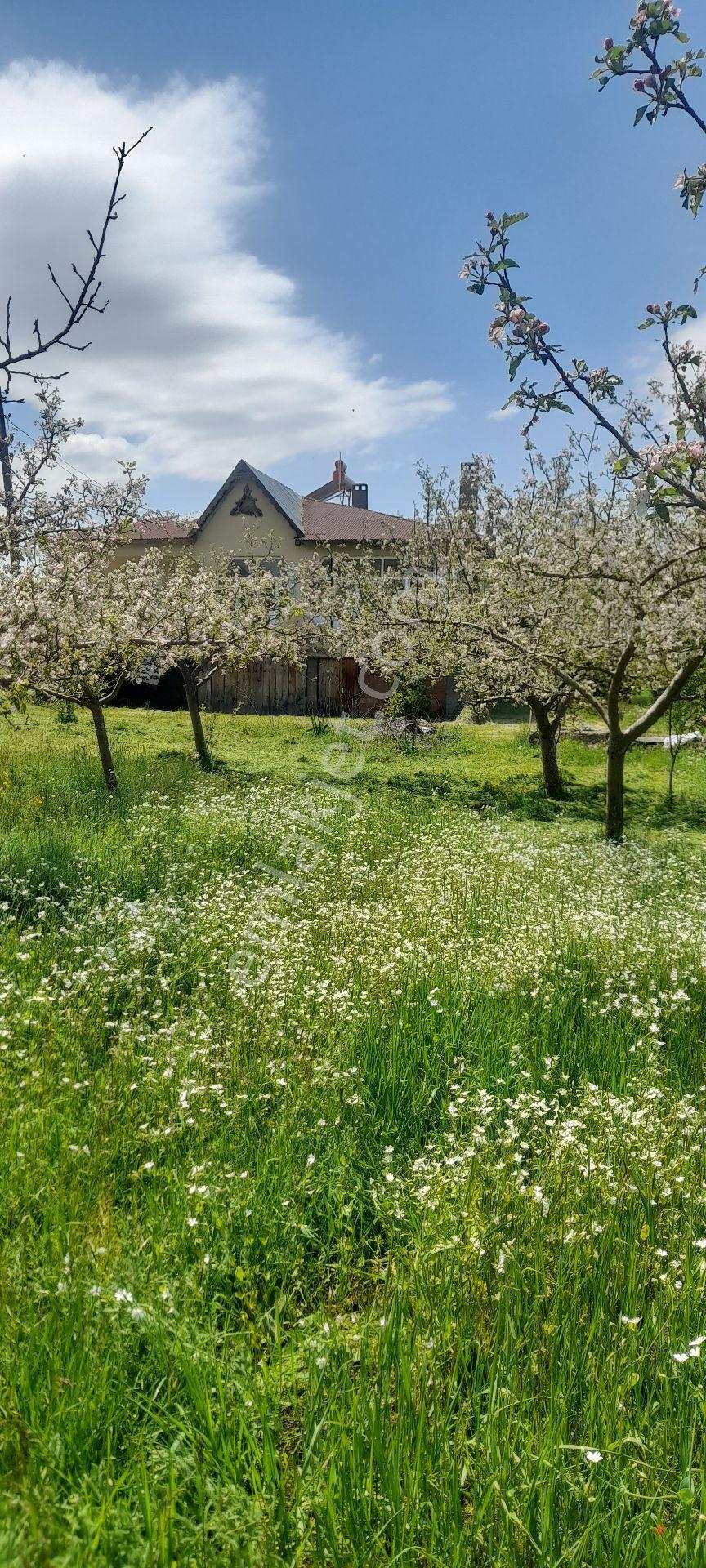 Sahibinden Satlık - Görsel 9