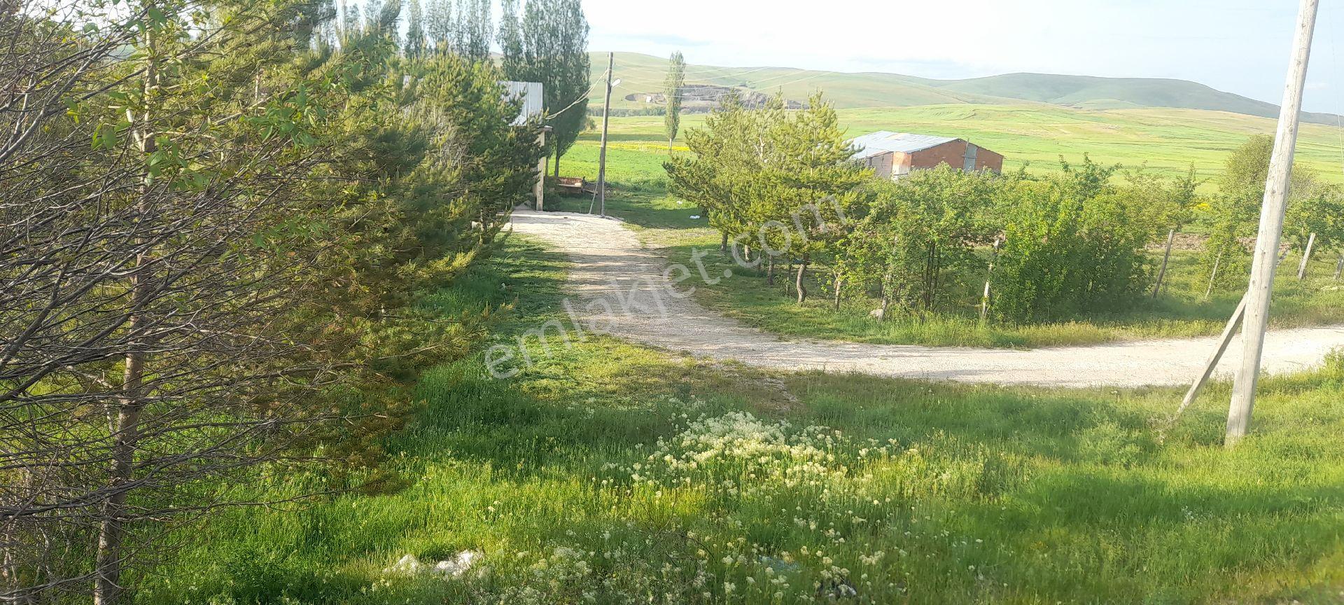 Sahibinden Satlık - Görsel 5