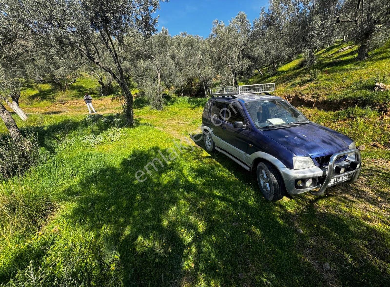 Edremit Ortaobada Kadastro Yolu Olan 193 M² Zeytinlik Yatırım - Görsel 5