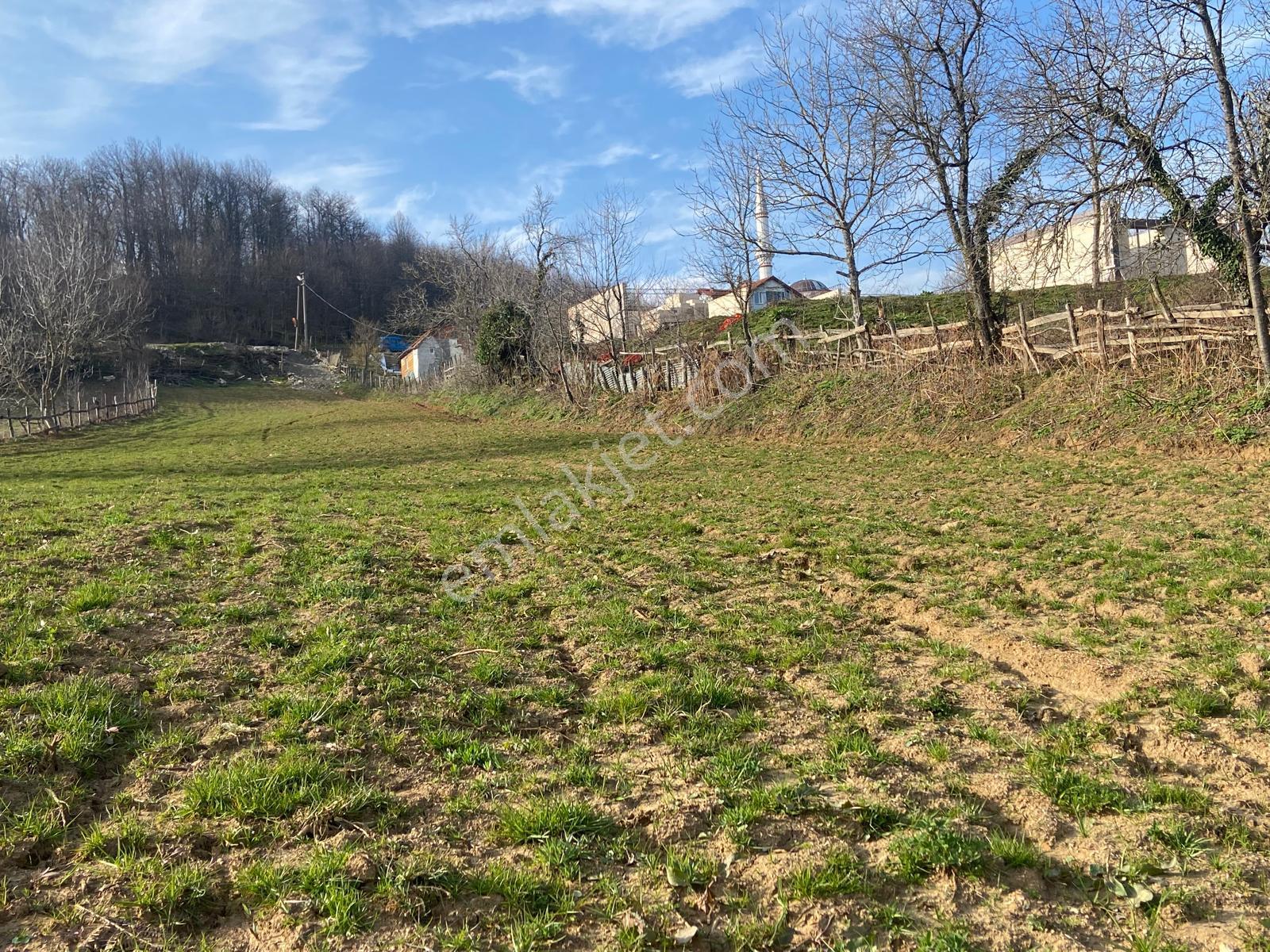 Gölcük Ayvazpınar’da Köy İçi, Yola Yakın 2.981 M² Yatırımlık Fırsat - Görsel 4