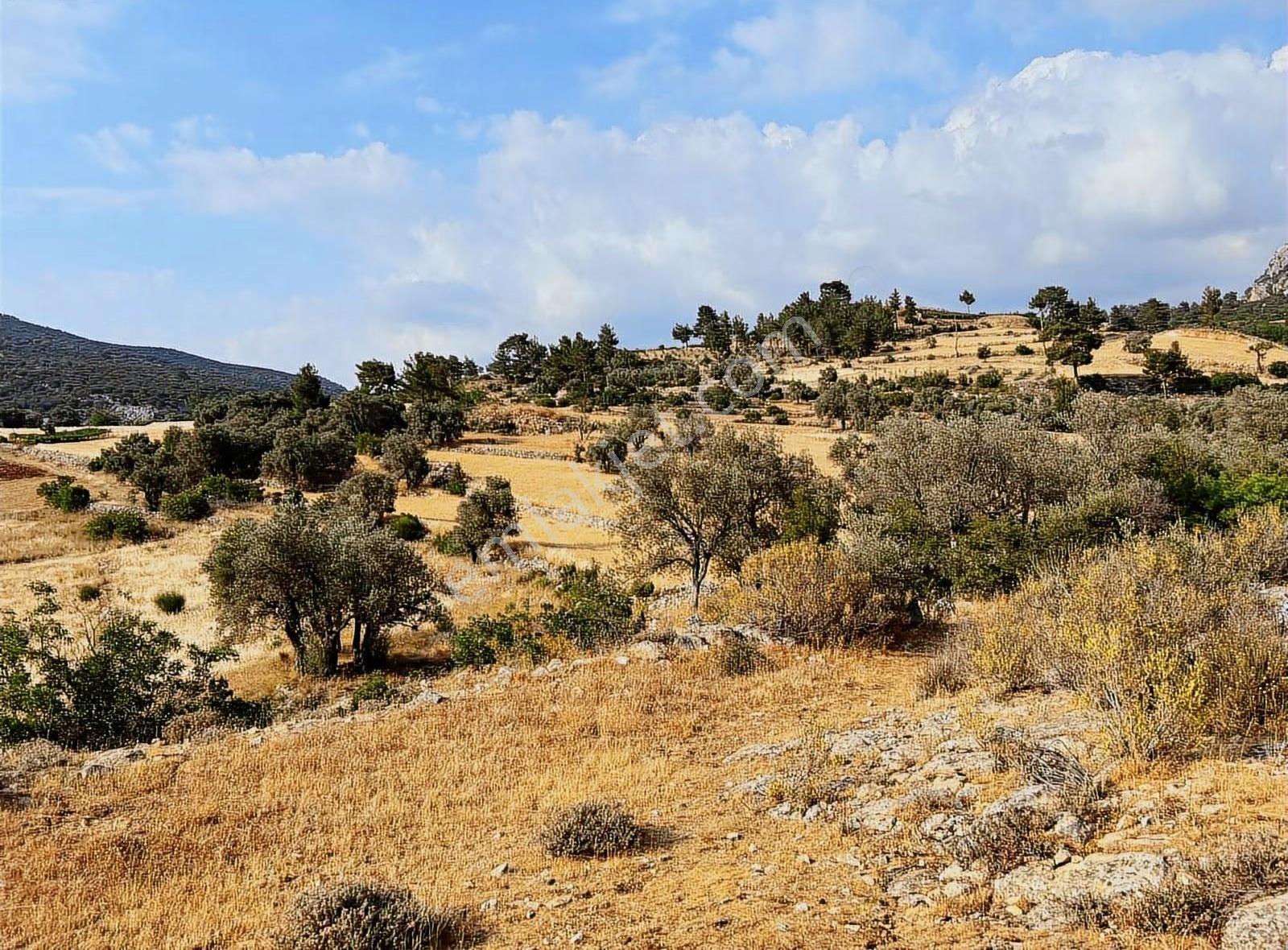 Arsa Da Yatırıma Uygun Müstakil Arazi Fırsatı - Görsel 8