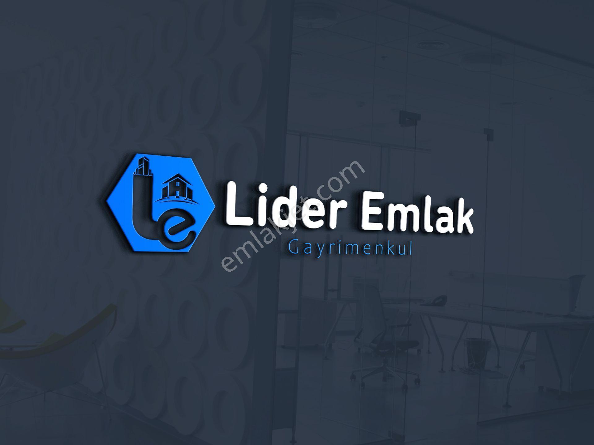 Liderden Nazilli Kestelde Satılık 7.420 M2 Müstakil Zeytinlik - Görsel 4