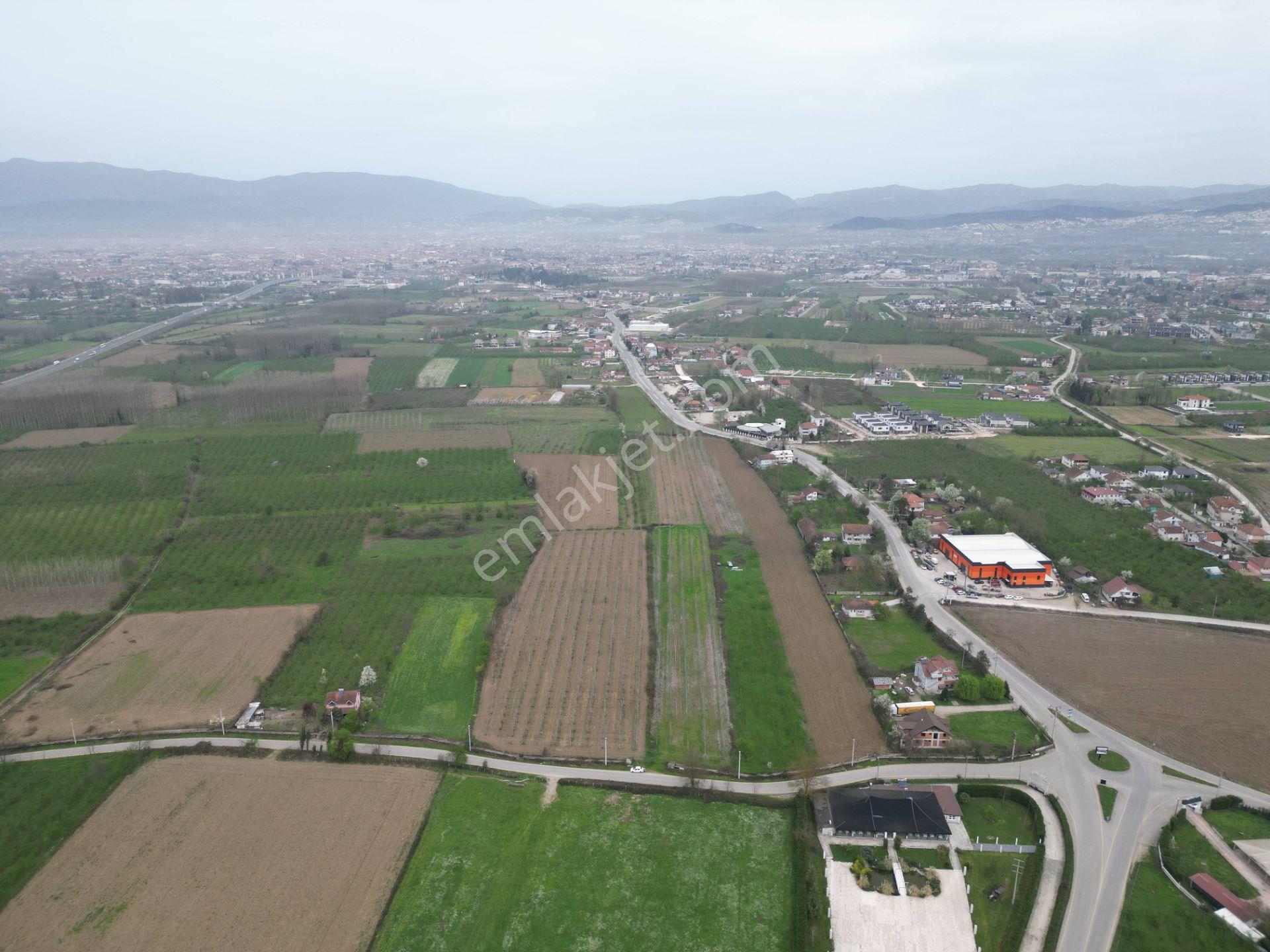 Nv Gayrimenkul'den Düzce Merkez Sinirci Köyü’nde 1377 M2 Satılık Arazi - Görsel 22
