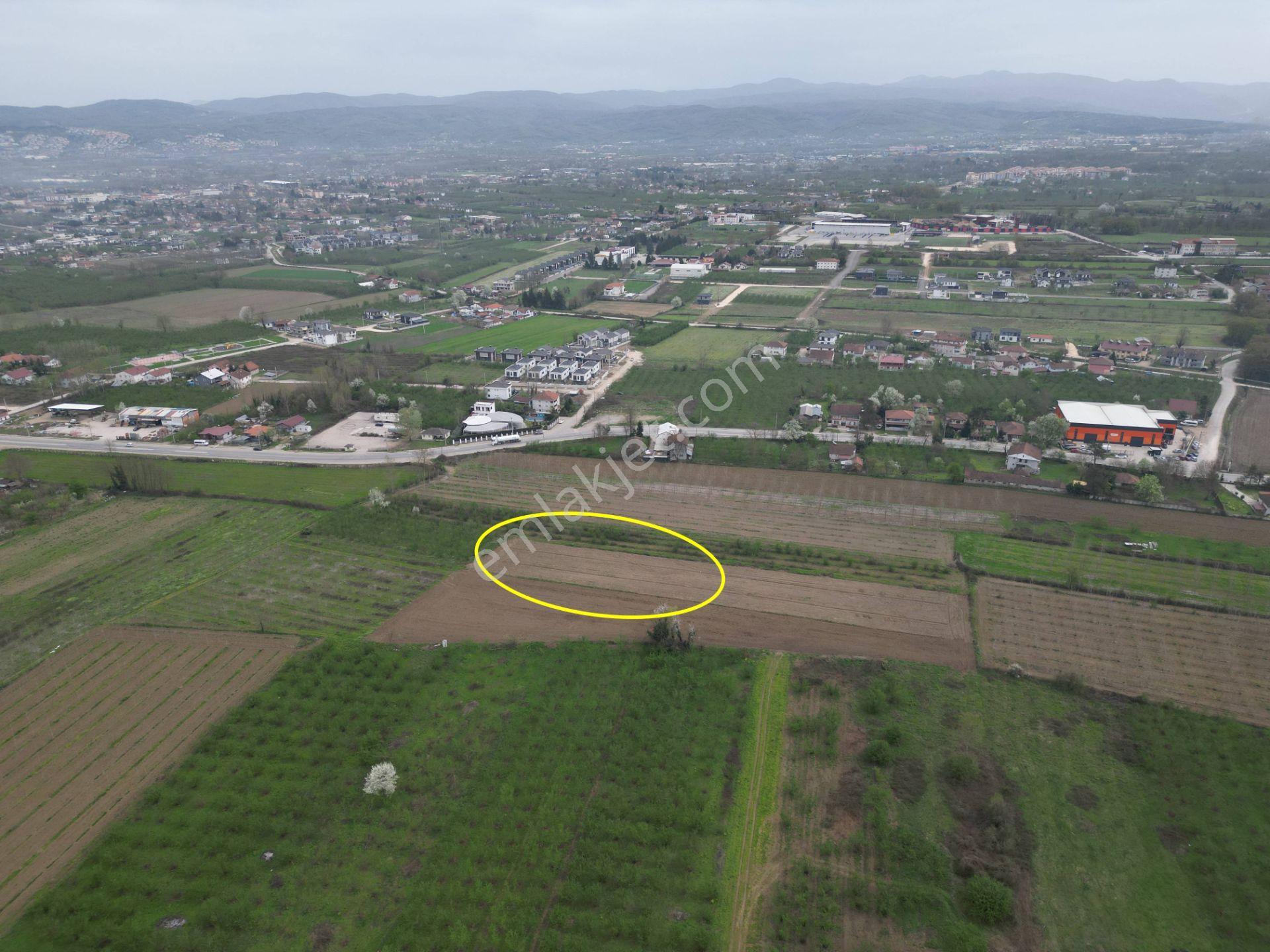 Nv Gayrimenkul'den Düzce Merkez Sinirci Köyü’nde 1377 M2 Satılık Arazi - Görsel 15