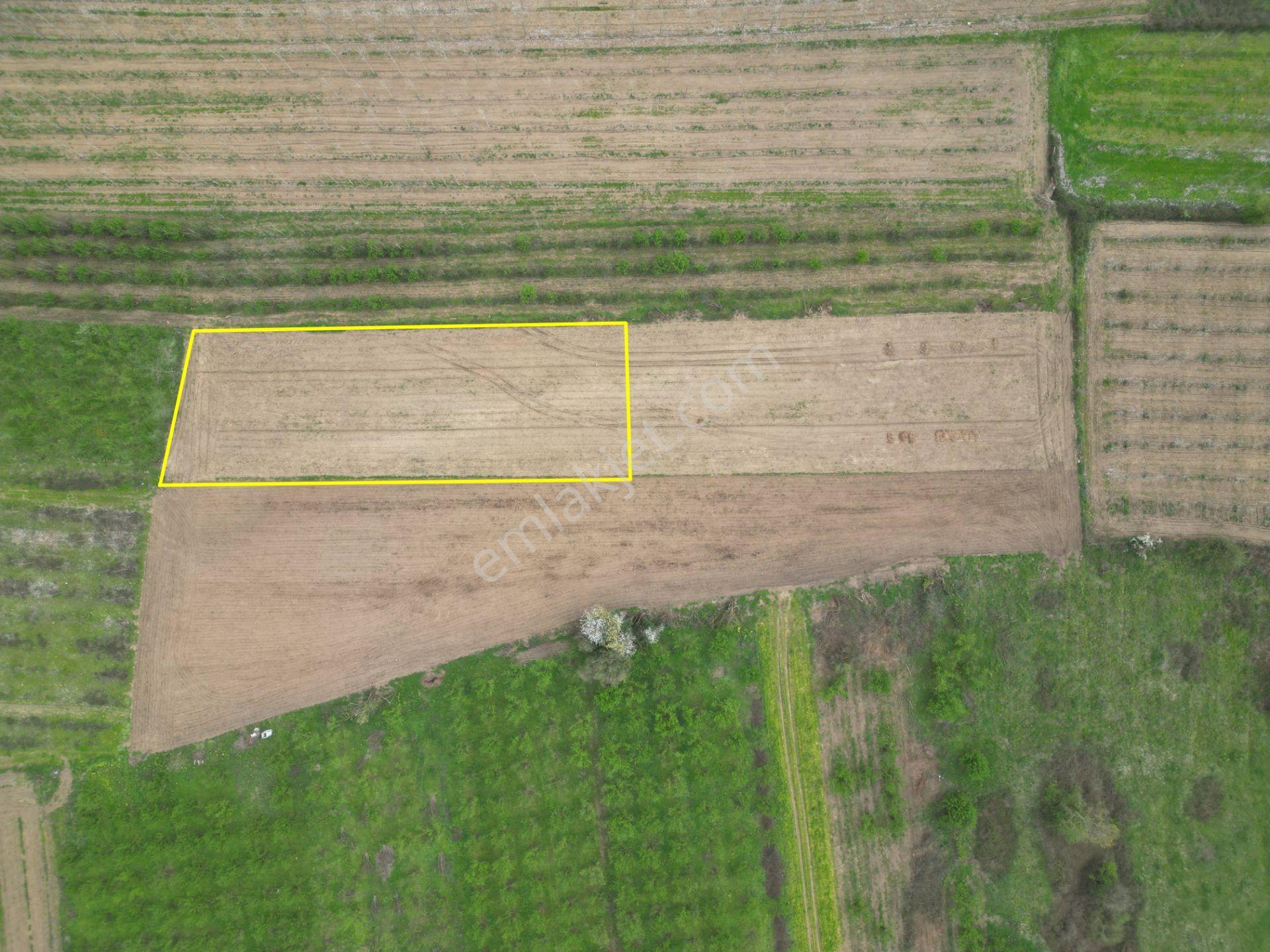 Nv Gayrimenkul'den Düzce Merkez Sinirci Köyü’nde 1377 M2 Satılık Arazi - Görsel 8