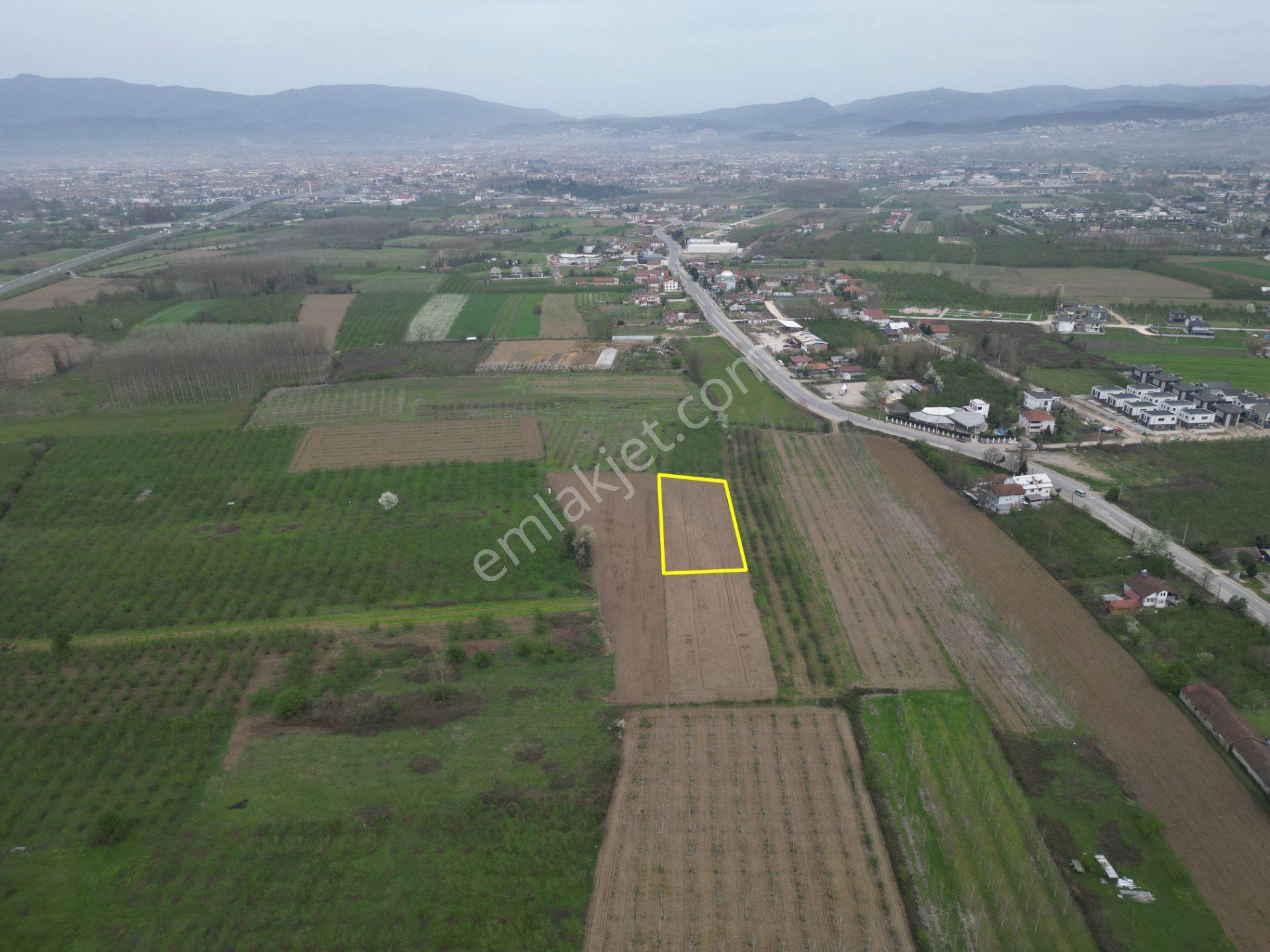 Nv Gayrimenkul'den Düzce Merkez Sinirci Köyü’nde 1377 M2 Satılık Arazi - Görsel 12