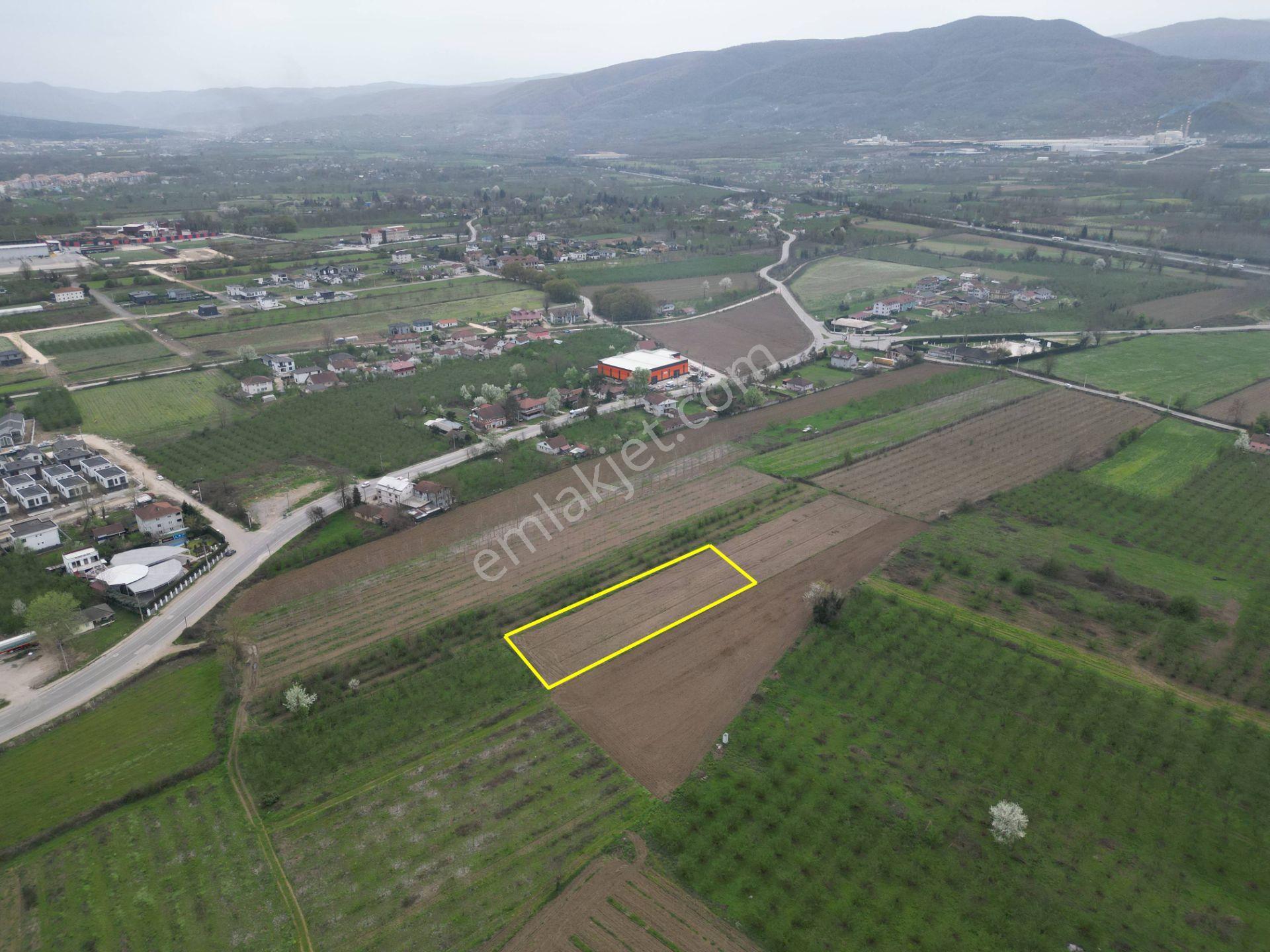 Nv Gayrimenkul'den Düzce Merkez Sinirci Köyü’nde 1377 M2 Satılık Arazi - Görsel 20