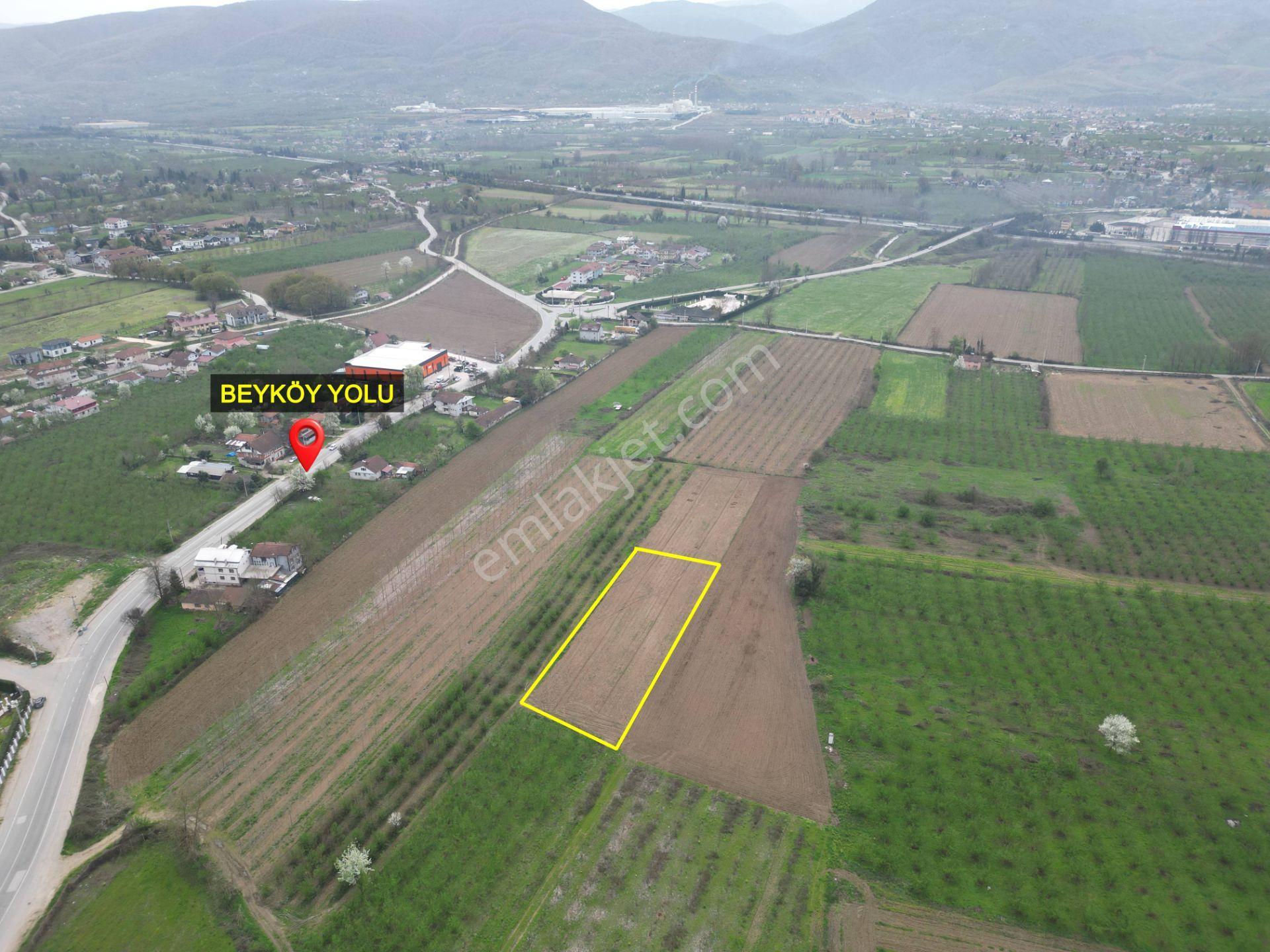 Nv Gayrimenkul'den Düzce Merkez Sinirci Köyü’nde 1377 M2 Satılık Arazi - Görsel 5