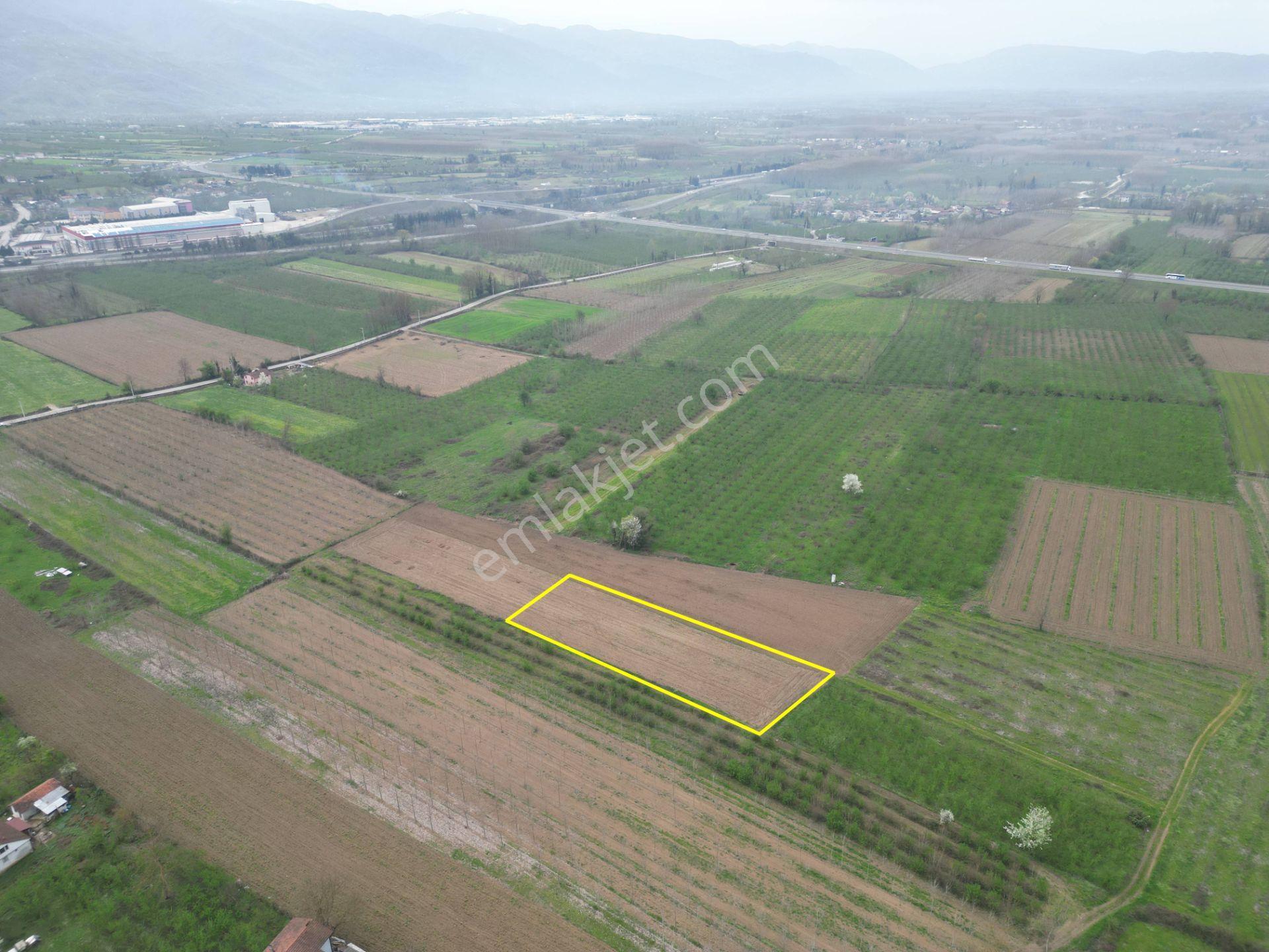 Nv Gayrimenkul'den Düzce Merkez Sinirci Köyü’nde 1377 M2 Satılık Arazi - Görsel 14