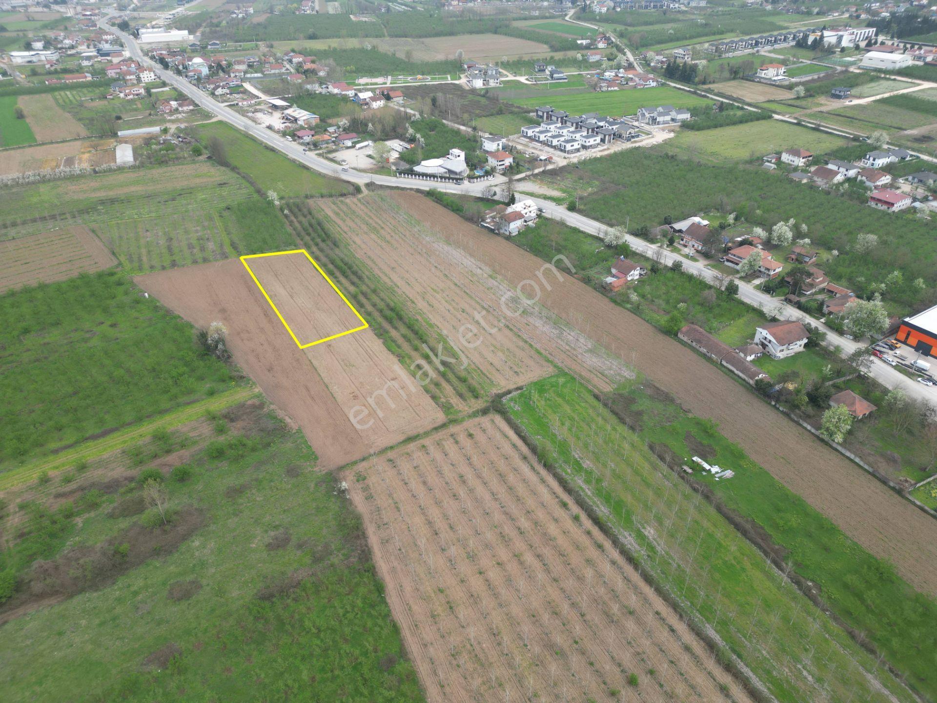 Nv Gayrimenkul'den Düzce Merkez Sinirci Köyü’nde 1377 M2 Satılık Arazi - Görsel 16