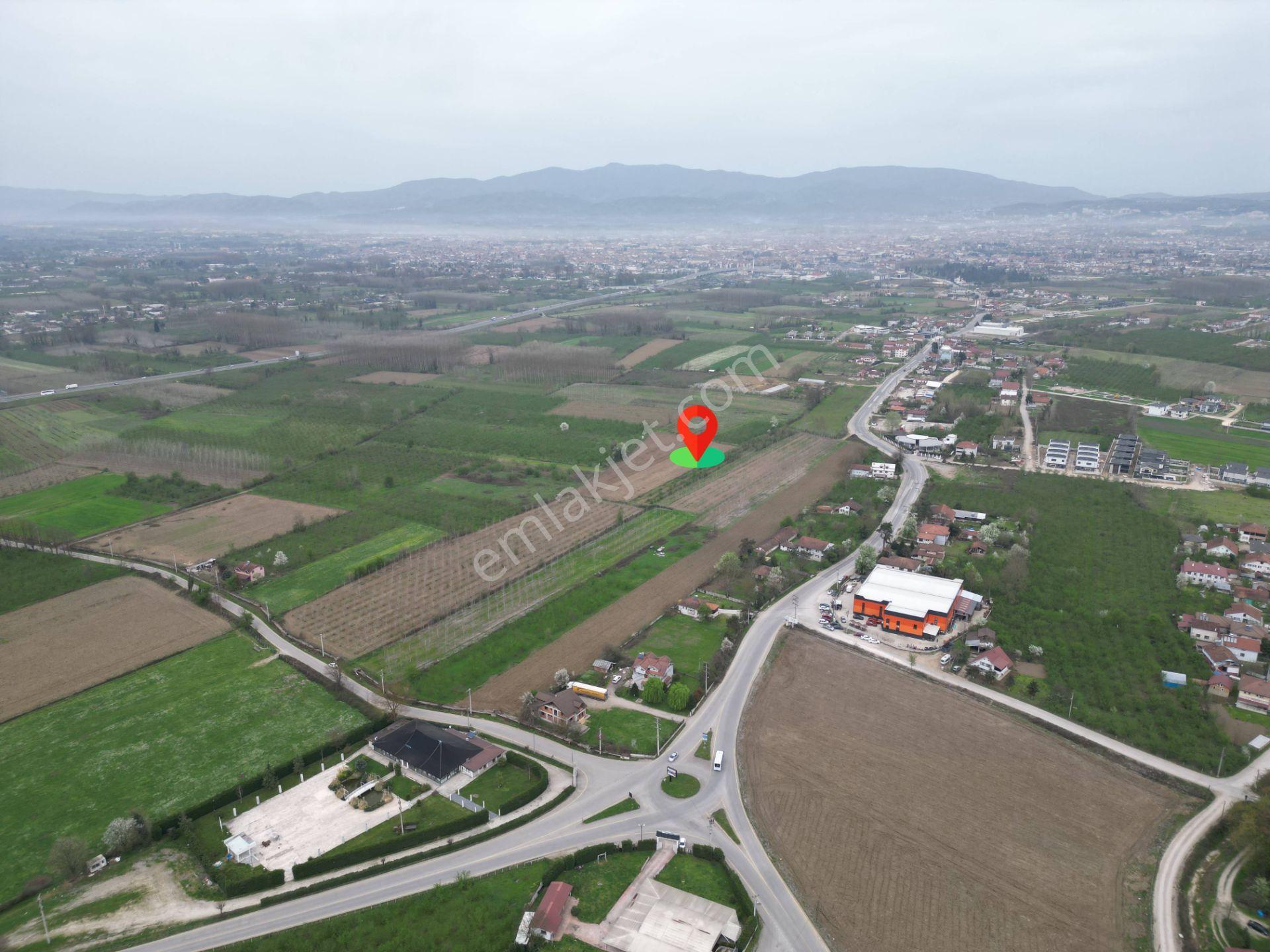 Nv Gayrimenkul'den Düzce Merkez Sinirci Köyü’nde 1377 M2 Satılık Arazi - Görsel 17