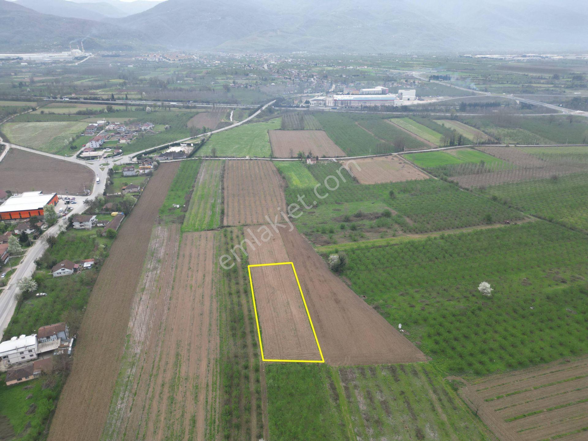 Nv Gayrimenkul'den Düzce Merkez Sinirci Köyü’nde 1377 M2 Satılık Arazi - Görsel 6
