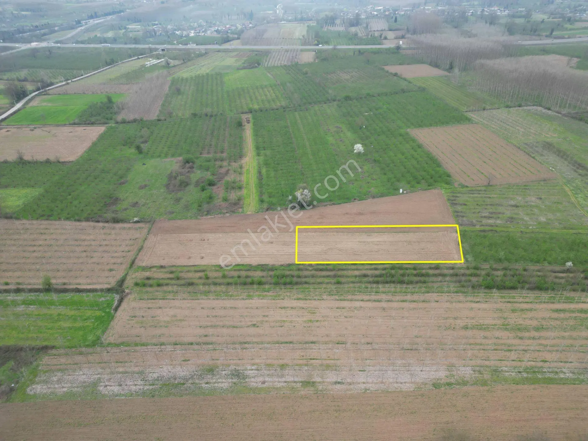 Nv Gayrimenkul'den Düzce Merkez Sinirci Köyü’nde 1377 M2 Satılık Arazi - Görsel 3