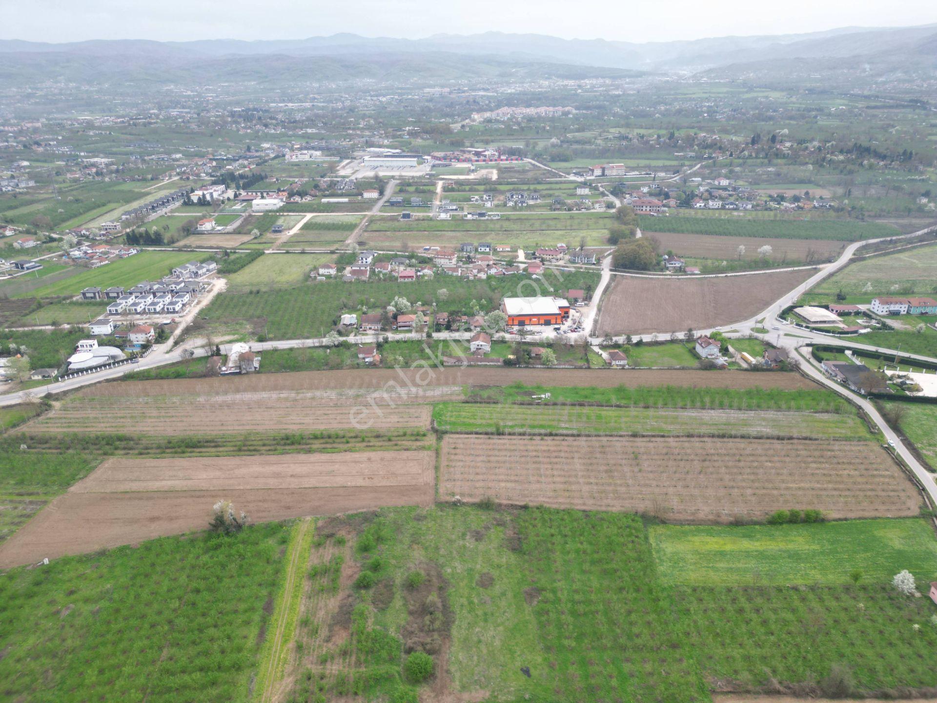 Nv Gayrimenkul'den Düzce Merkez Sinirci Köyü’nde 1377 M2 Satılık Arazi - Görsel 18