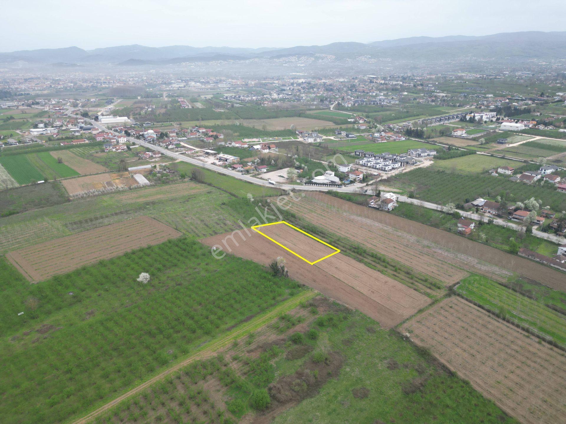 Nv Gayrimenkul'den Düzce Merkez Sinirci Köyü’nde 1377 M2 Satılık Arazi - Görsel 21