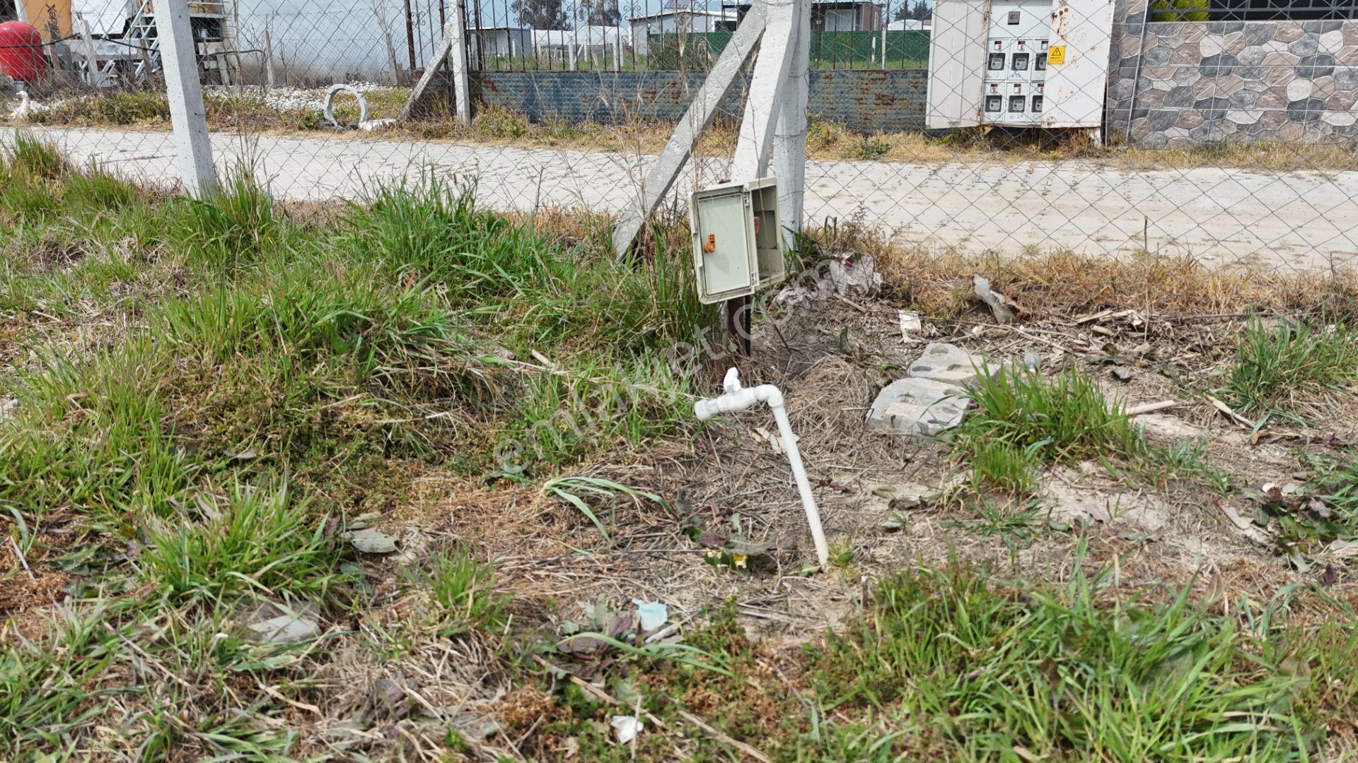 İzmir Menderes Değirmenderede 300 M2 Noter Satışlı Elektrik Su Aktif - Görsel 31