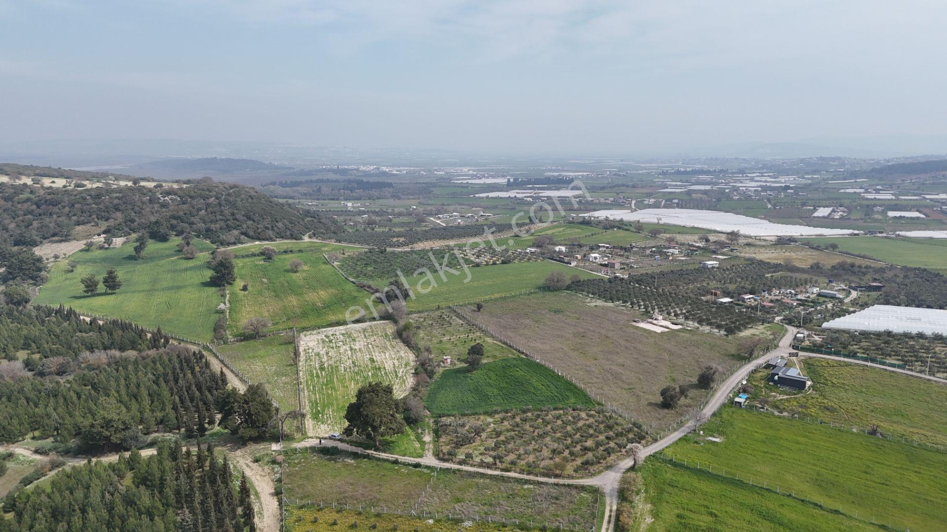 İzmir Menderes Değirmenderede 300 M2 Noter Satışlı Elektrik Su Aktif - Görsel 18