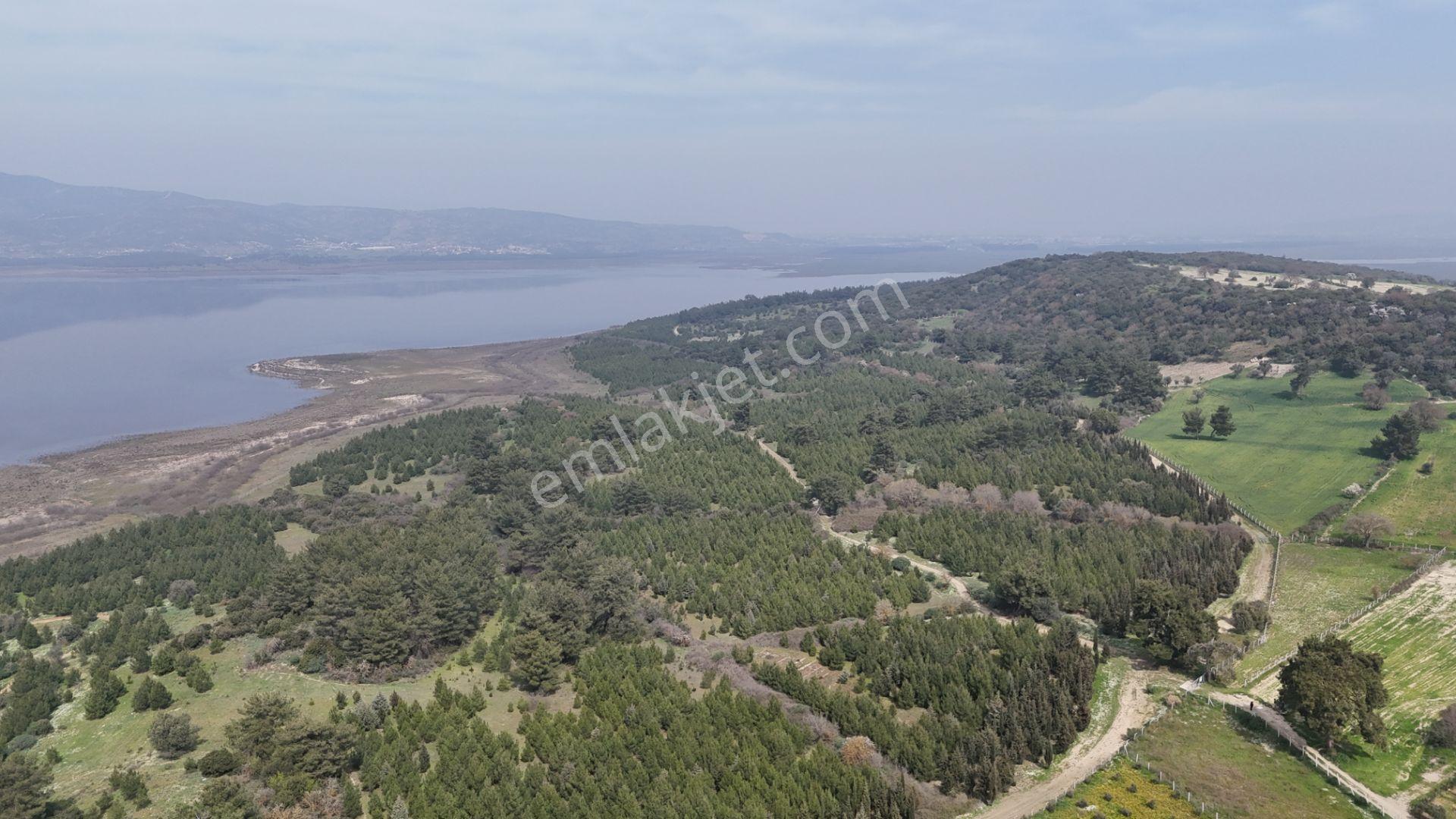 İzmir Menderes Değirmenderede 300 M2 Noter Satışlı Elektrik Su Aktif - Görsel 7