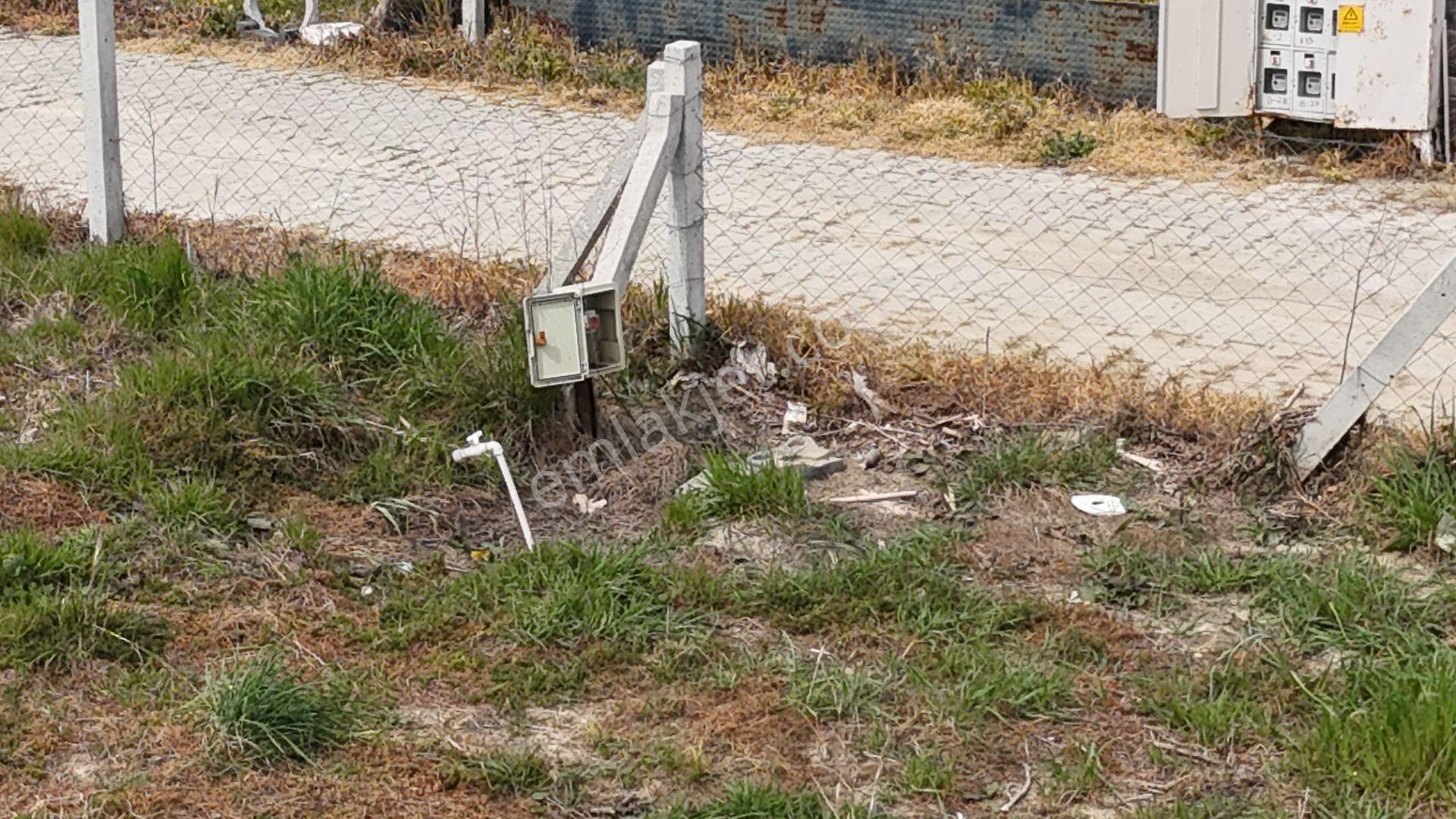 İzmir Menderes Değirmenderede 300 M2 Noter Satışlı Elektrik Su Aktif - Görsel 21