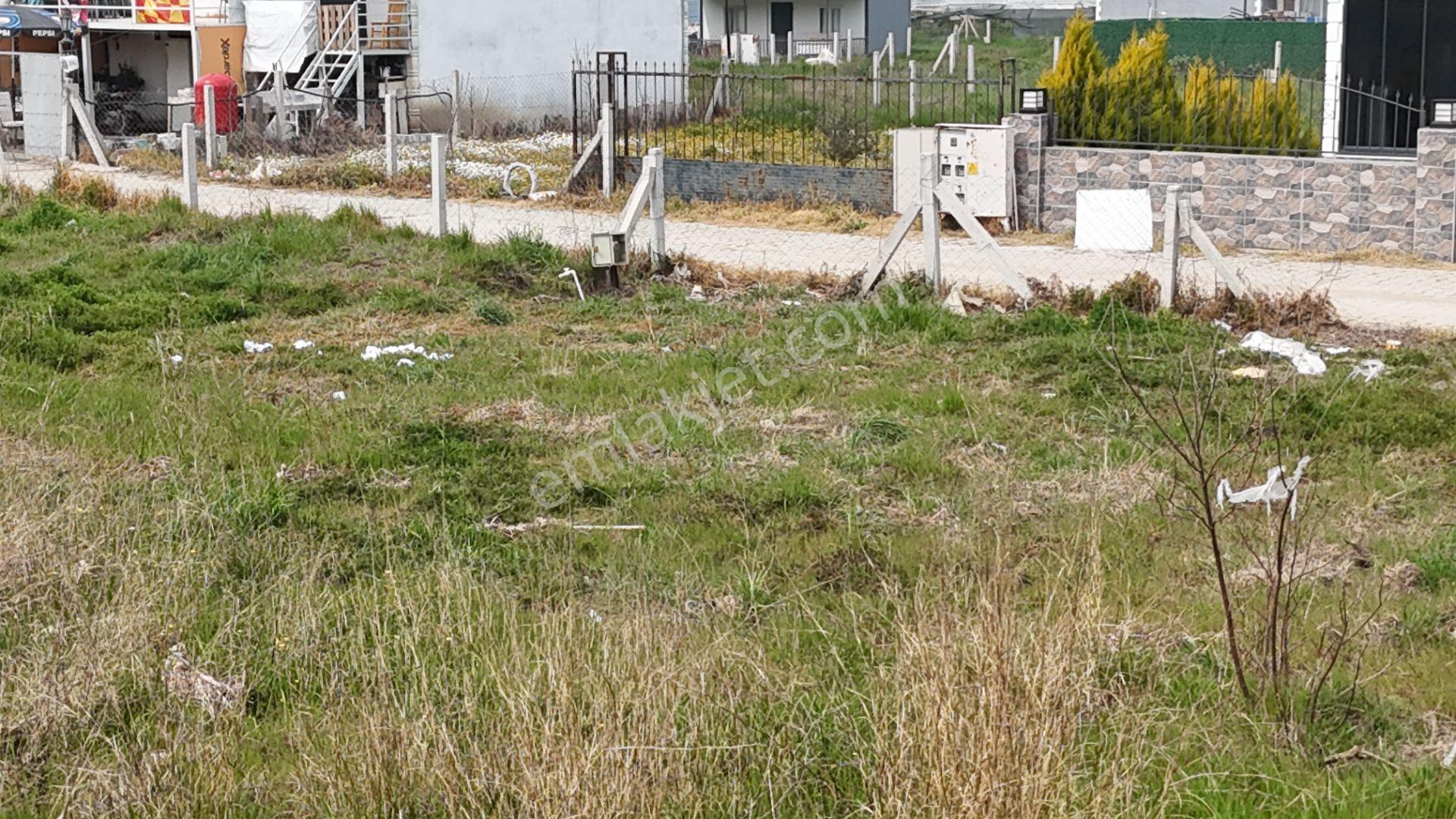 İzmir Menderes Değirmenderede 300 M2 Noter Satışlı Elektrik Su Aktif - Görsel 17