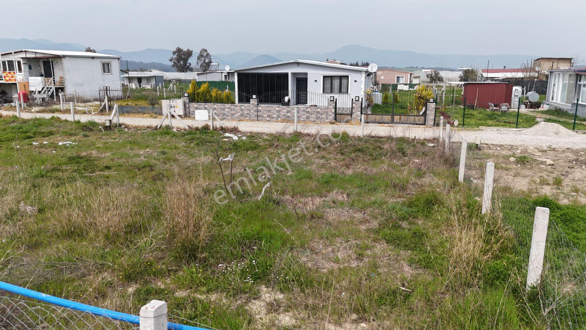 İzmir Menderes Değirmenderede 300 M2 Noter Satışlı Elektrik Su Aktif - Görsel 32