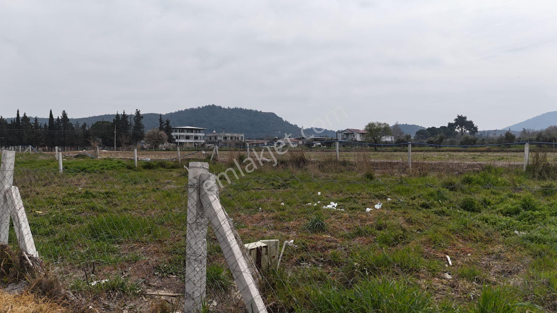 İzmir Menderes Değirmenderede 300 M2 Noter Satışlı Elektrik Su Aktif - Görsel 34