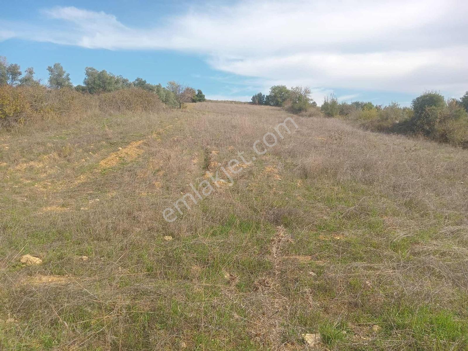 Muğla Menteşe Algı Mah. Satılık 6.244 M2 Tarla - Görsel 4