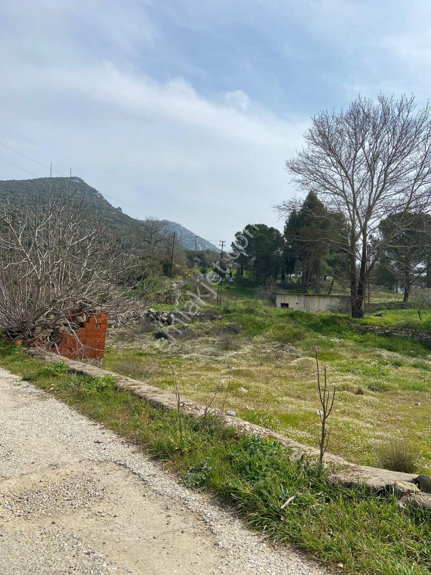 Kurşak Ta Asfalf Yola Cepheli Satılık Tarla 11415 M2 - Görsel 31