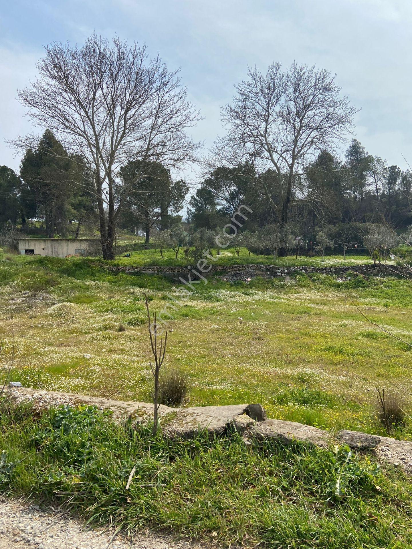 Kurşak Ta Asfalf Yola Cepheli Satılık Tarla 11415 M2 - Görsel 22