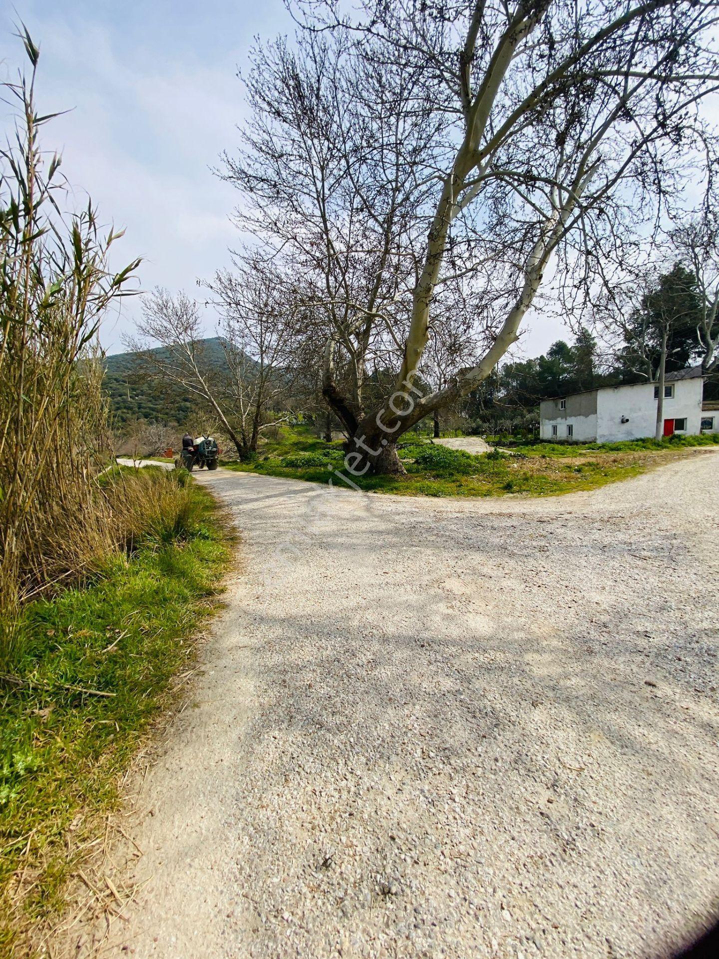 Kurşak Ta Asfalf Yola Cepheli Satılık Tarla 11415 M2 - Görsel 24