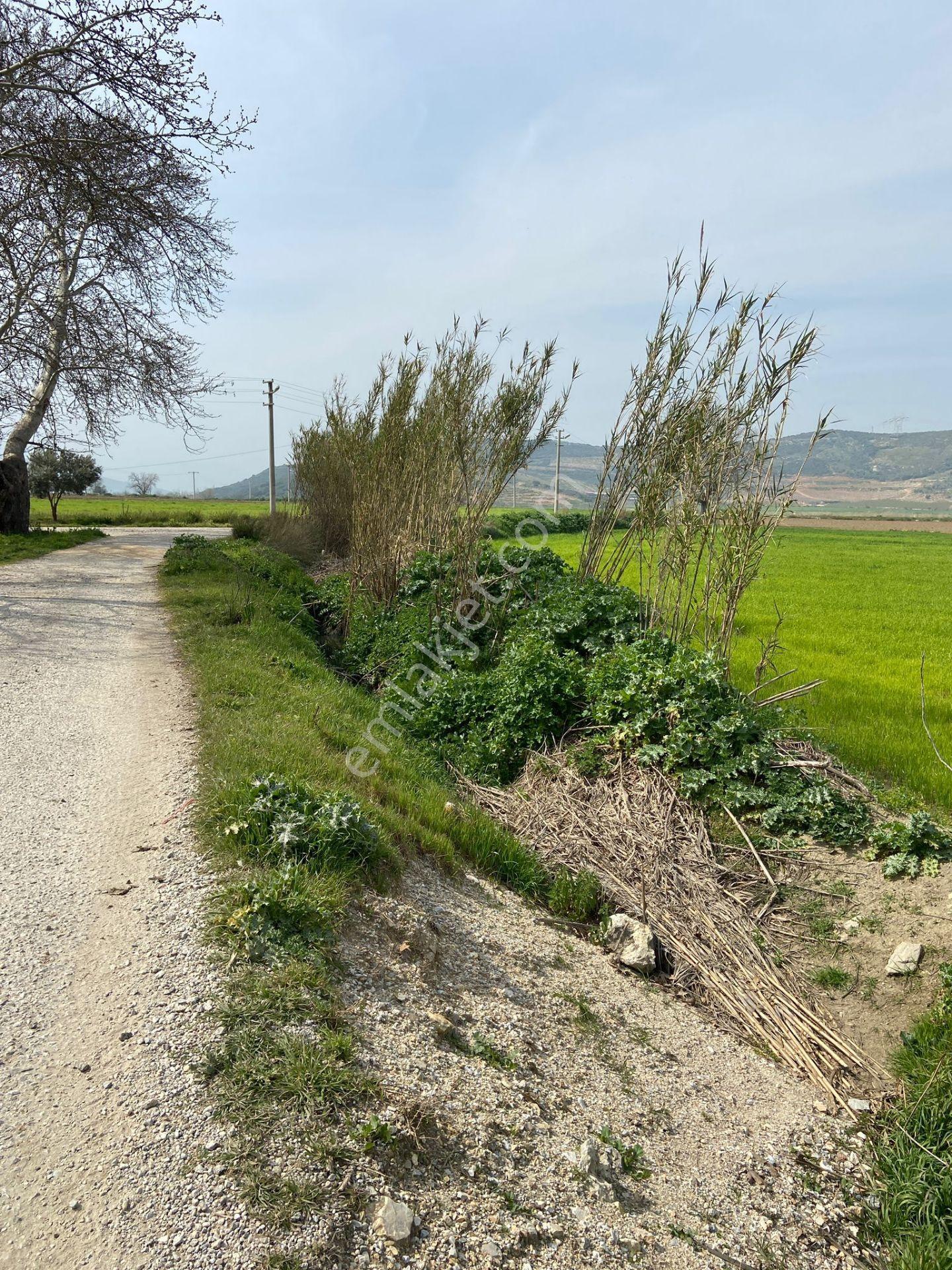 Kurşak Ta Asfalf Yola Cepheli Satılık Tarla 11415 M2 - Görsel 34