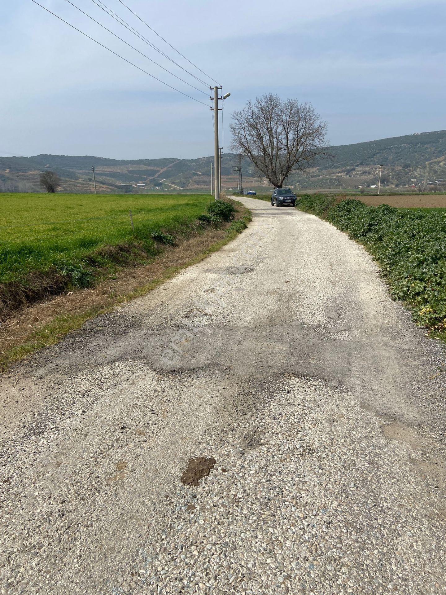 Kurşak Ta Asfalf Yola Cepheli Satılık Tarla 11415 M2 - Görsel 35