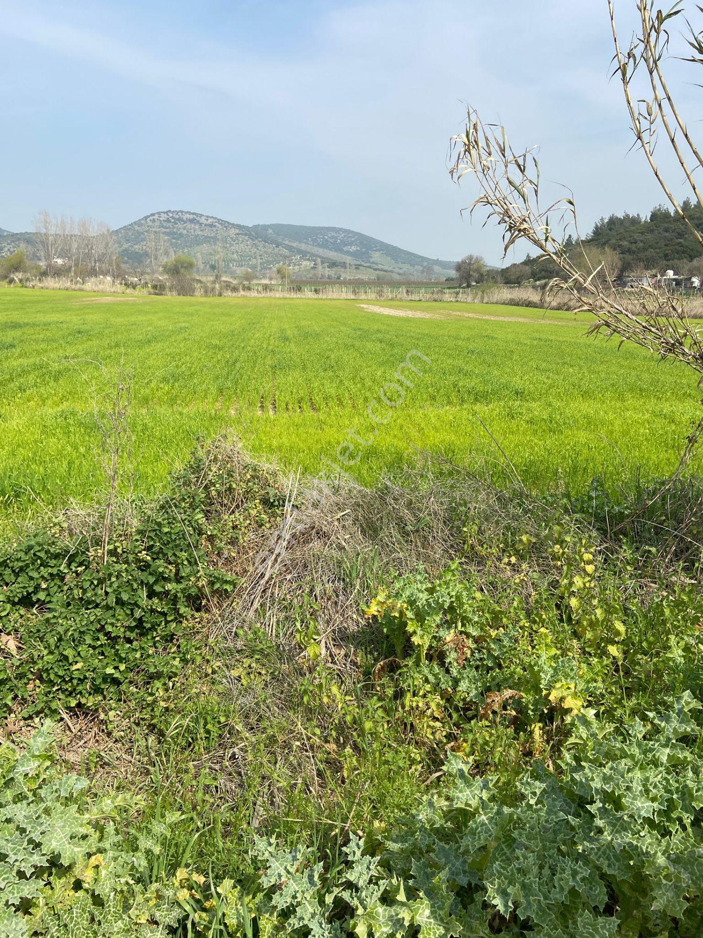 Kurşak Ta Asfalf Yola Cepheli Satılık Tarla 11415 M2 - Görsel 8