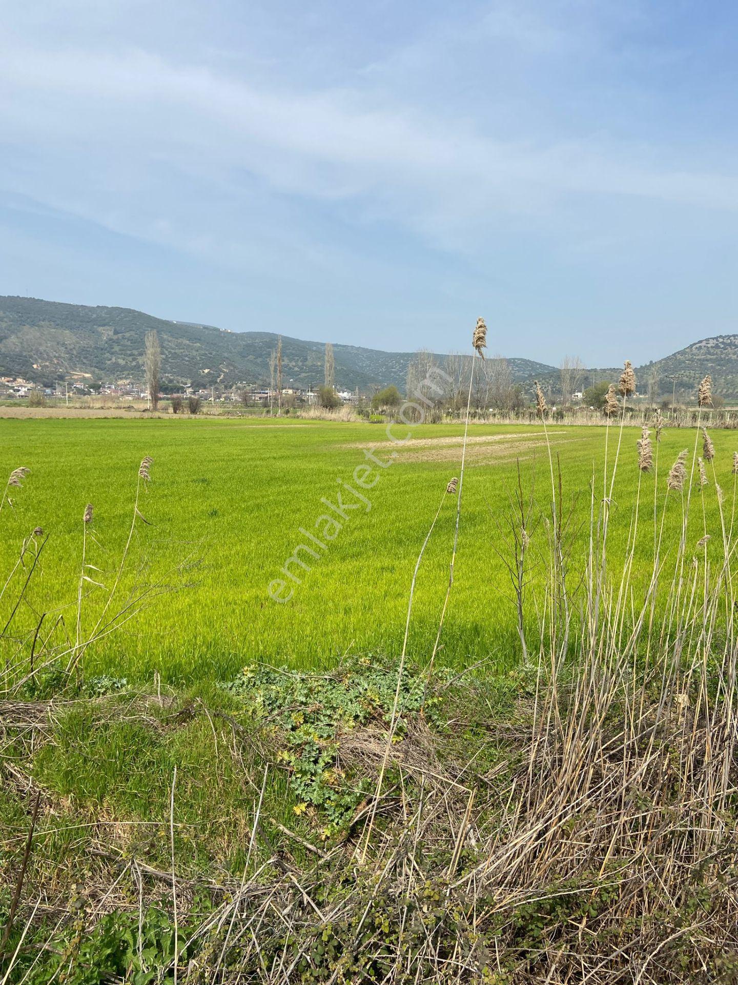 Kurşak Ta Asfalf Yola Cepheli Satılık Tarla 11415 M2 - Görsel 4