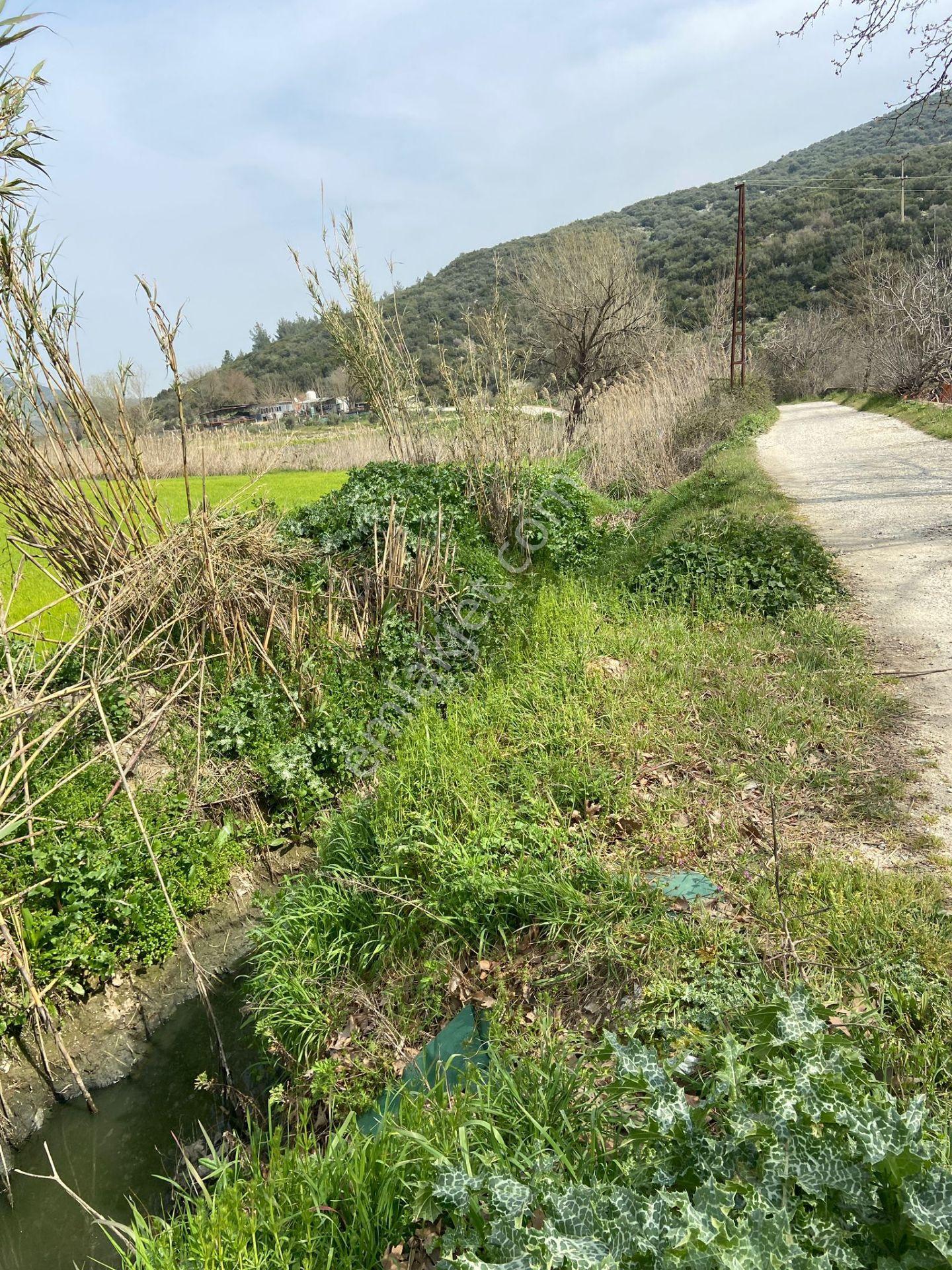 Kurşak Ta Asfalf Yola Cepheli Satılık Tarla 11415 M2 - Görsel 27