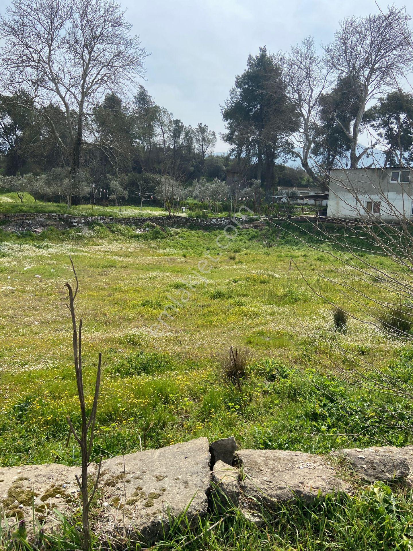 Kurşak Ta Asfalf Yola Cepheli Satılık Tarla 11415 M2 - Görsel 30