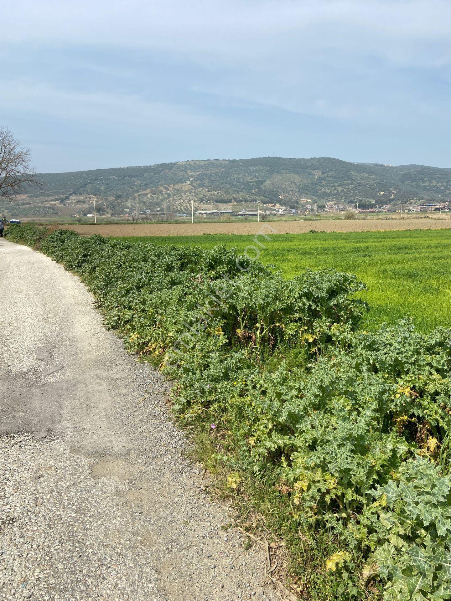 Kurşak Ta Asfalf Yola Cepheli Satılık Tarla 11415 M2 - Görsel 26