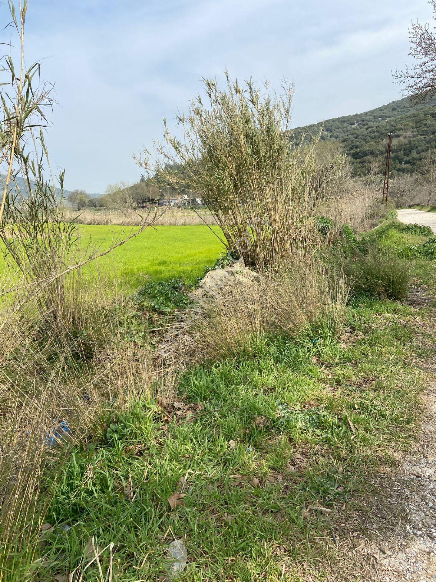 Kurşak Ta Asfalf Yola Cepheli Satılık Tarla 11415 M2 - Görsel 28