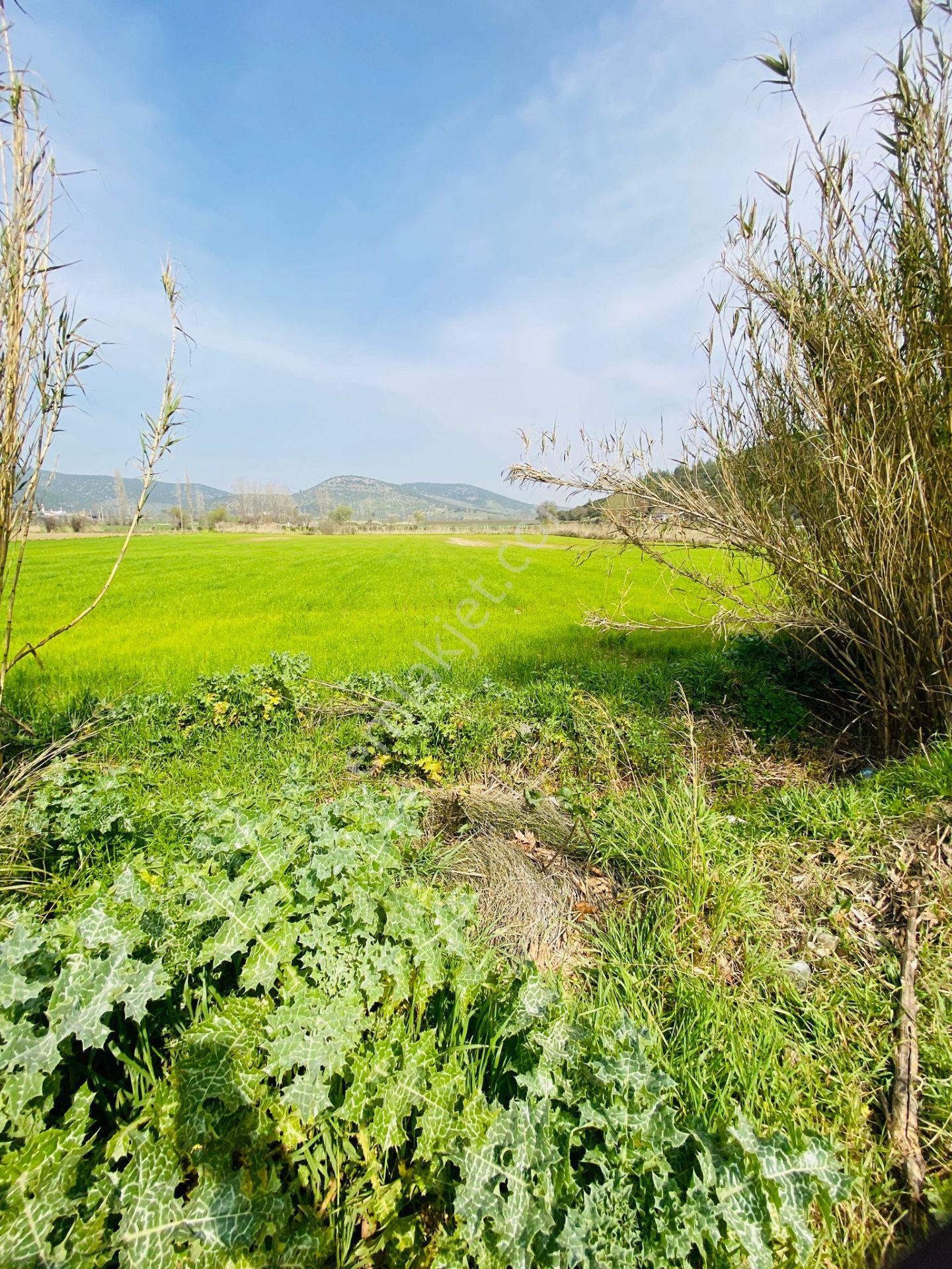 Kurşak Ta Asfalf Yola Cepheli Satılık Tarla 11415 M2 - Görsel 10